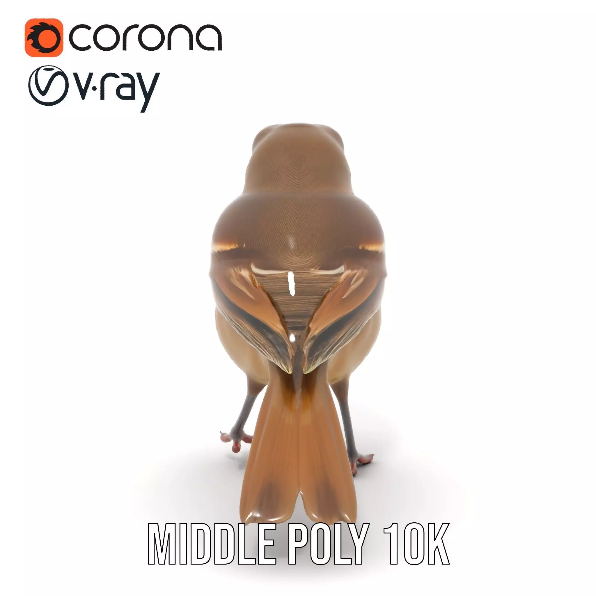 Golden Feathered Bird model pack Low-poly 3D model_16