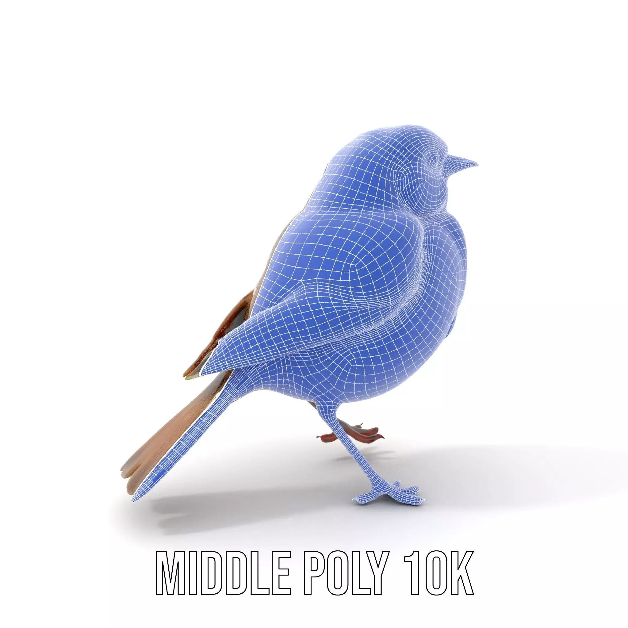 Golden Feathered Bird model pack Low-poly 3D model_28