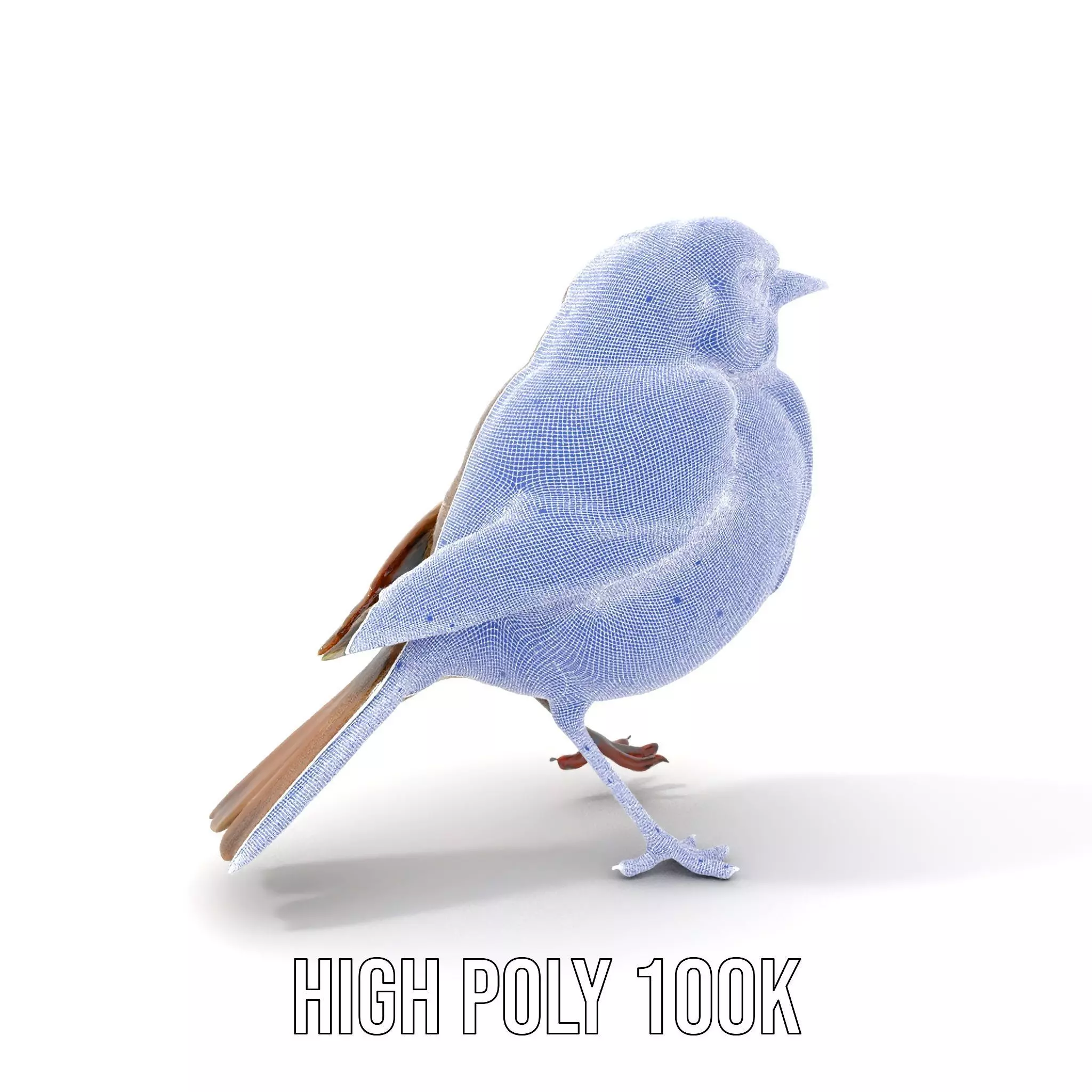 Golden Feathered Bird model pack Low-poly 3D model_5