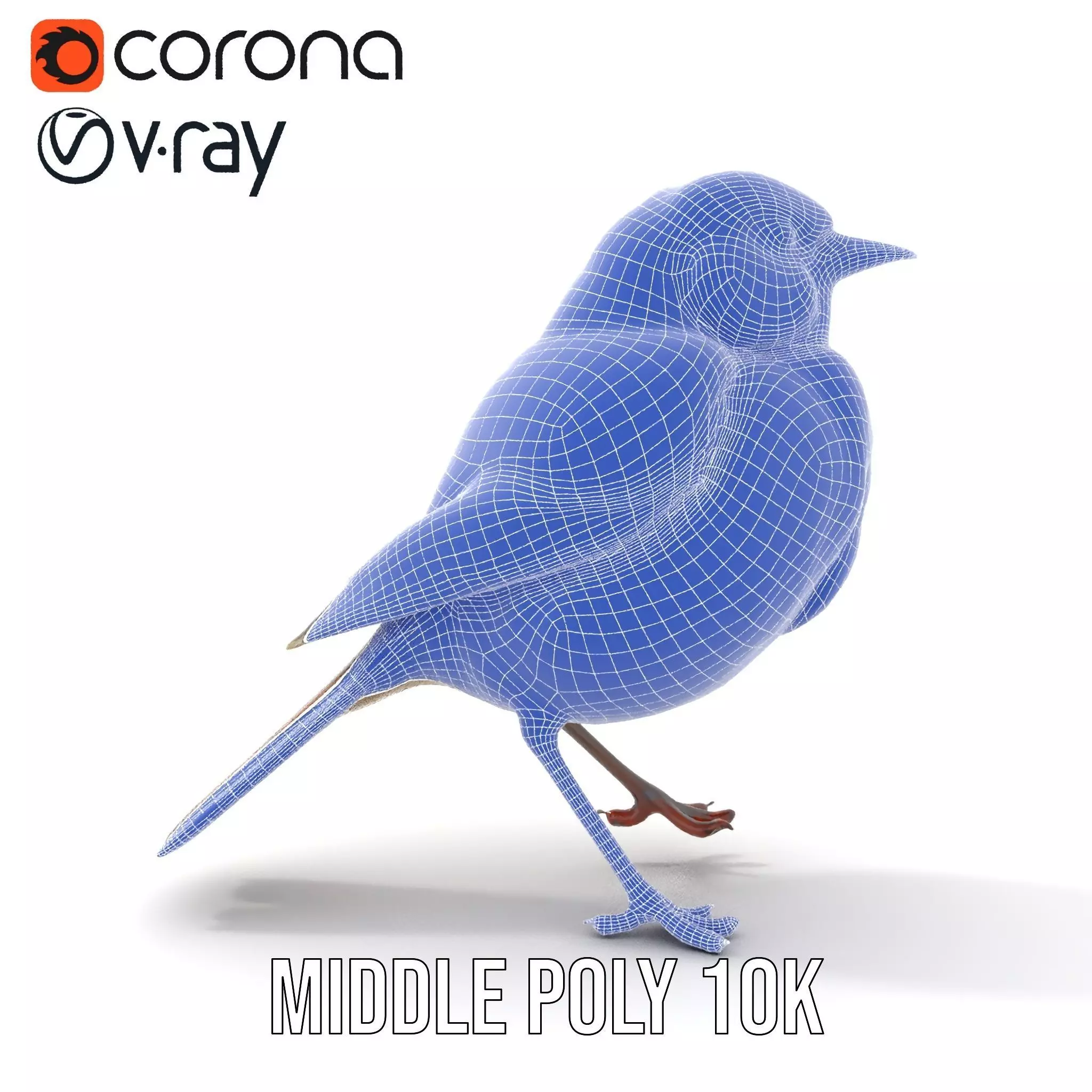 Golden Feathered Bird model pack Low-poly 3D model_25