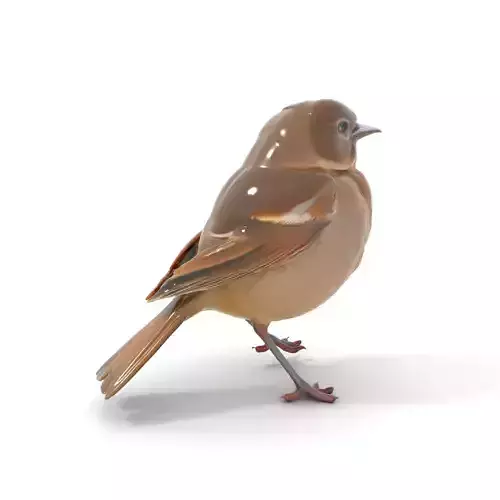 Golden Feathered Bird model pack Low-poly 3D model