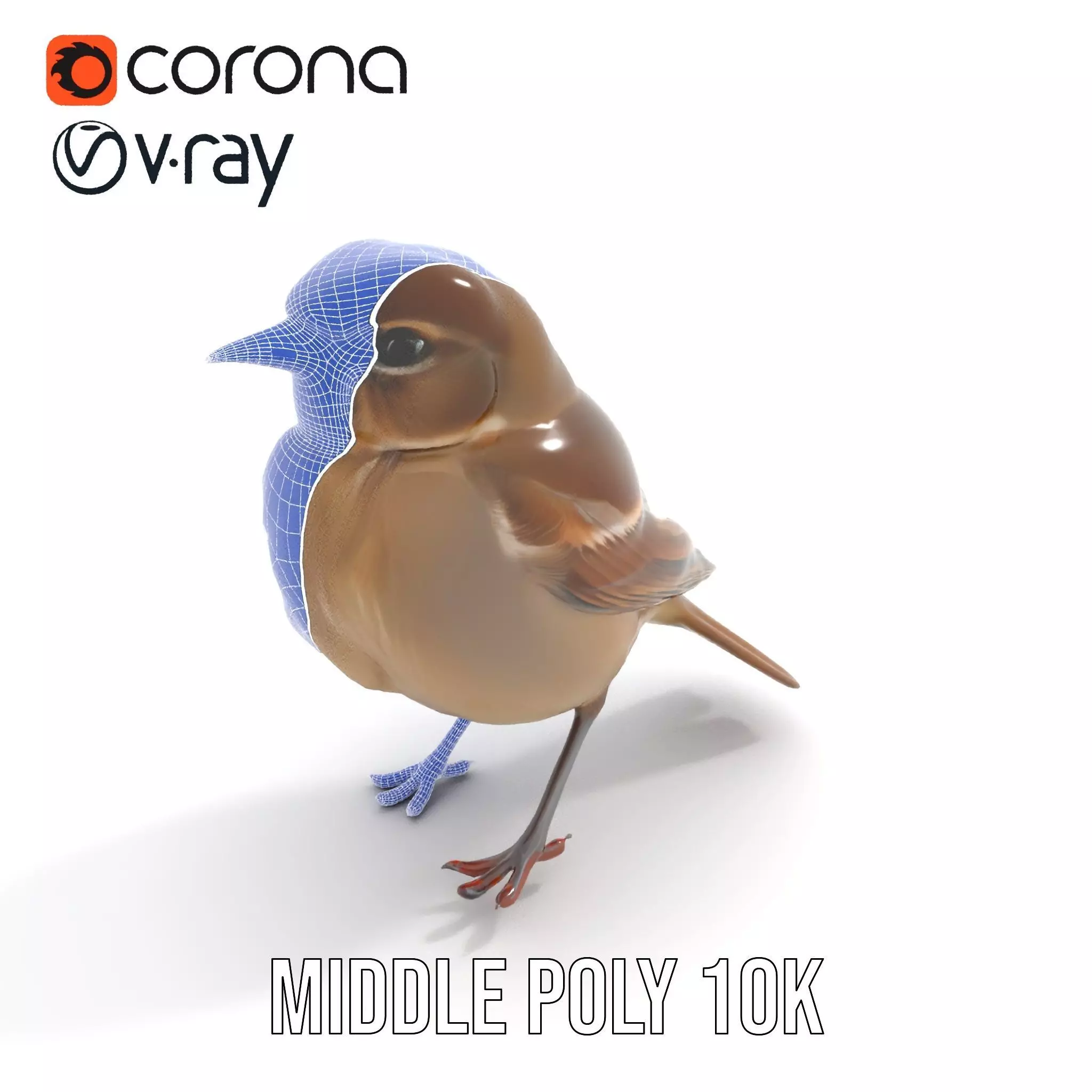 Golden Feathered Bird model pack Low-poly 3D model_14