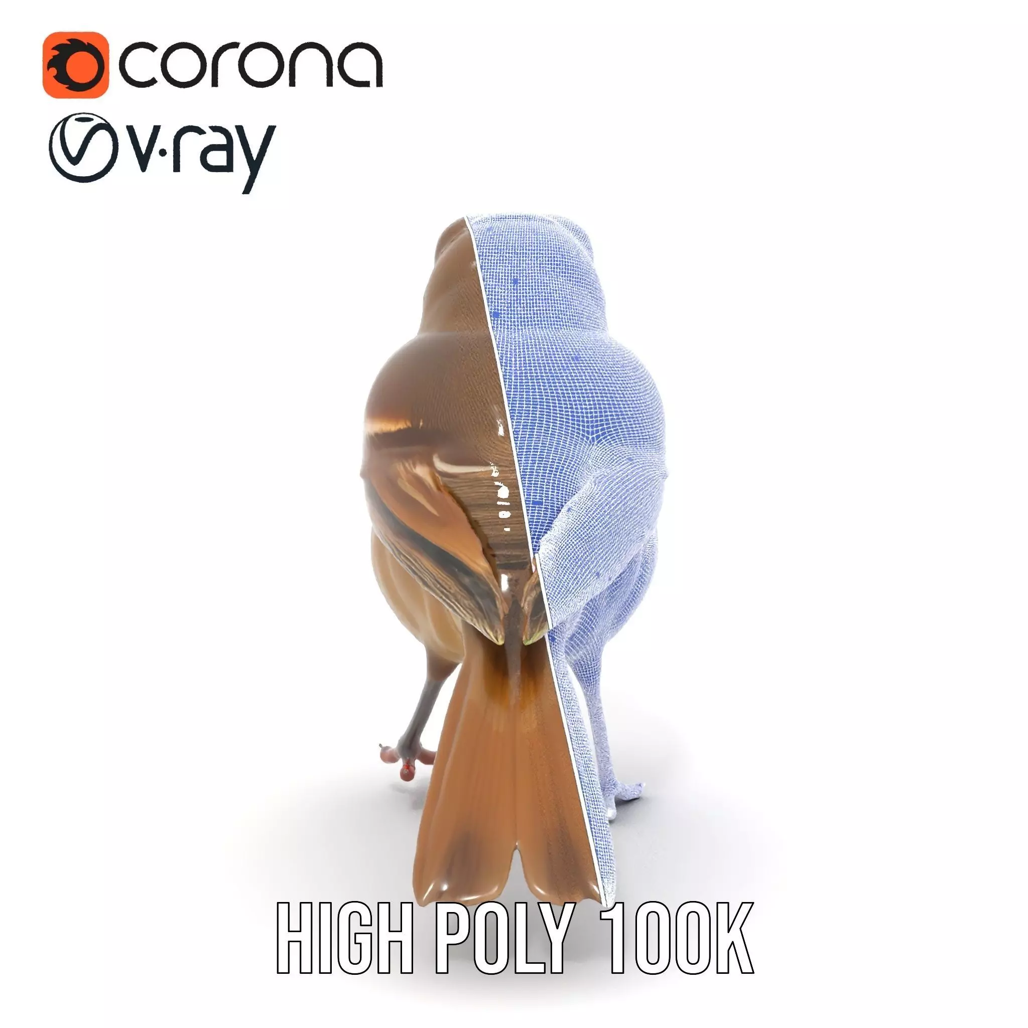 Golden Feathered Bird model pack Low-poly 3D model_34