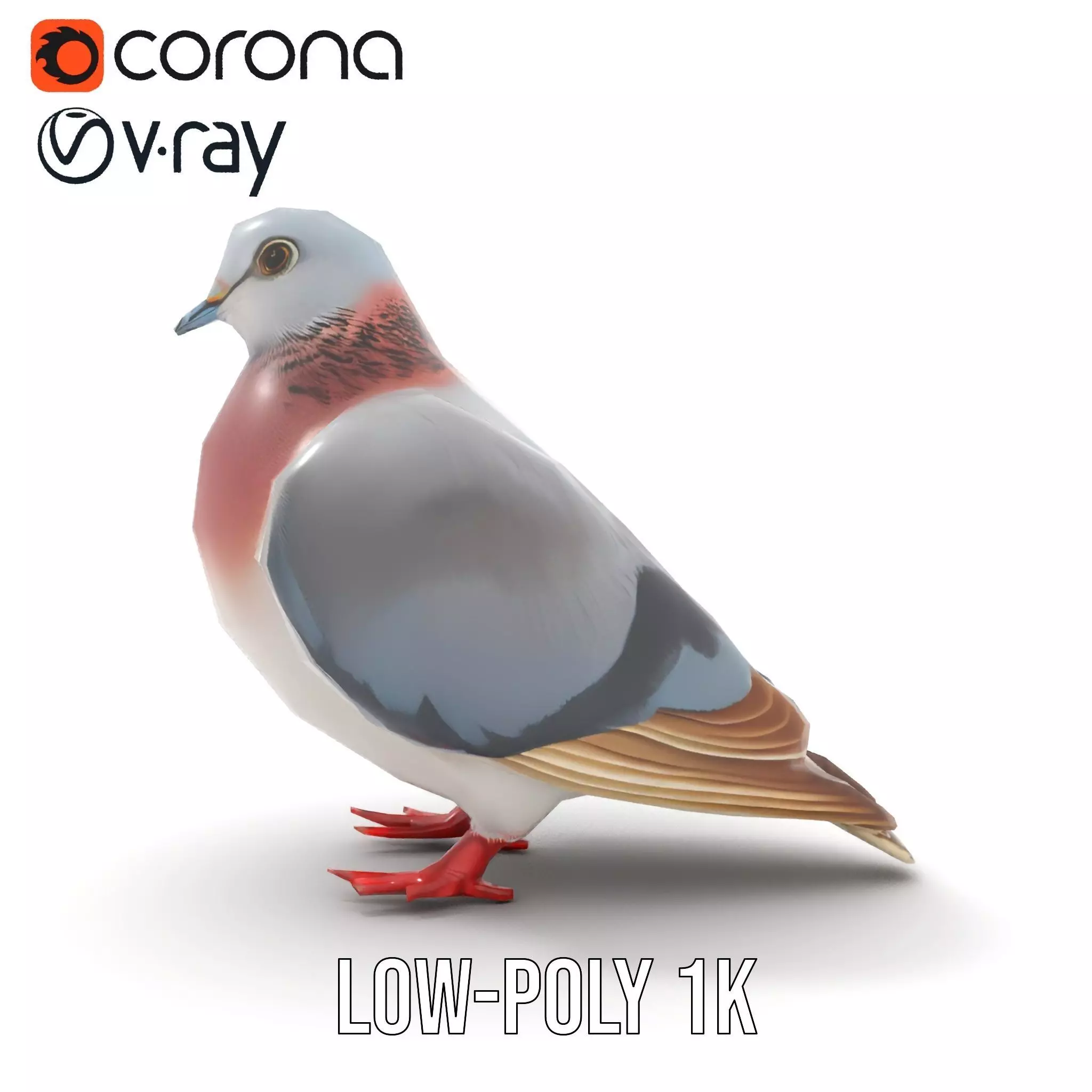 Elegant Pigeon Model Pack Low-poly 3D model_26