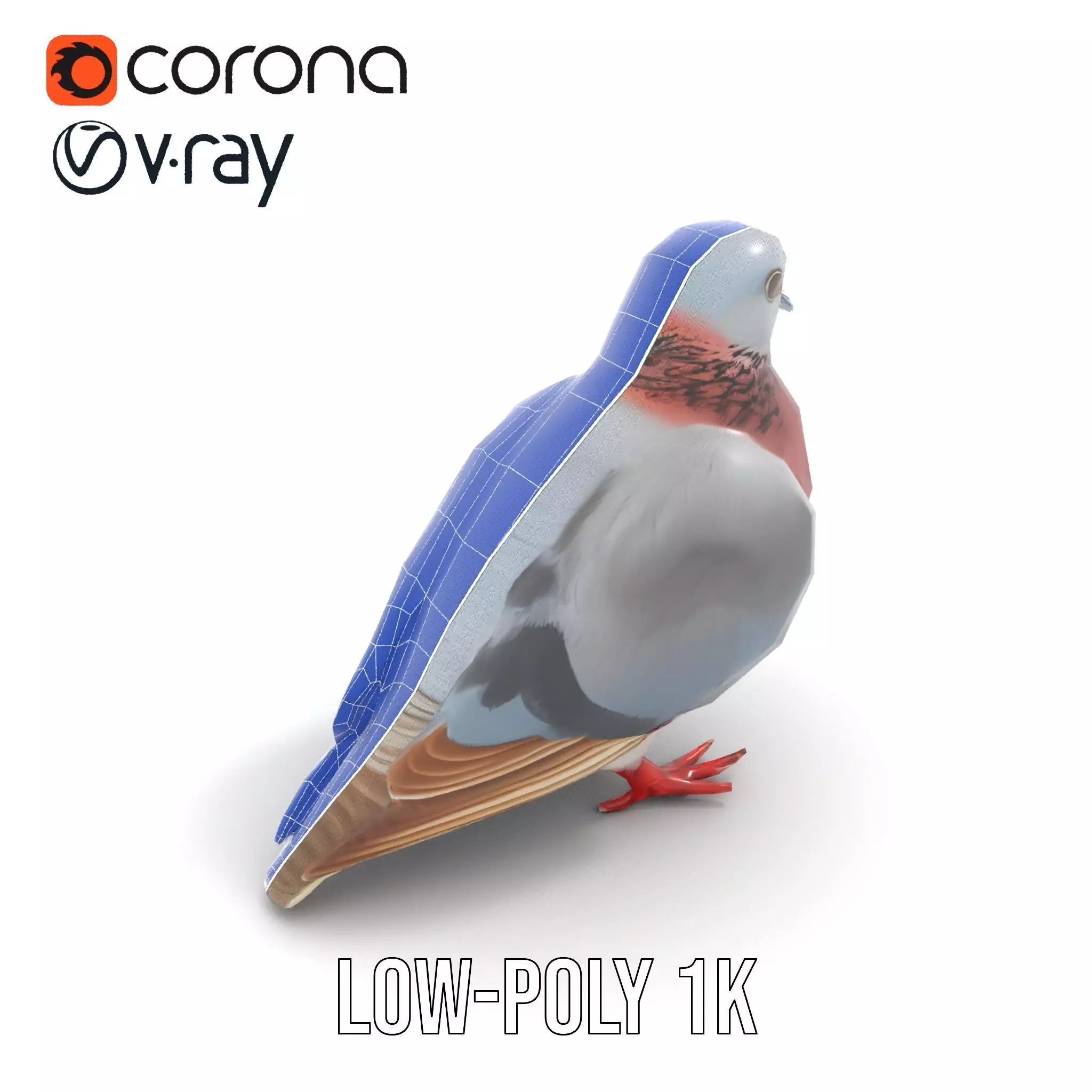 Elegant Pigeon Model Pack Low-poly 3D model_21