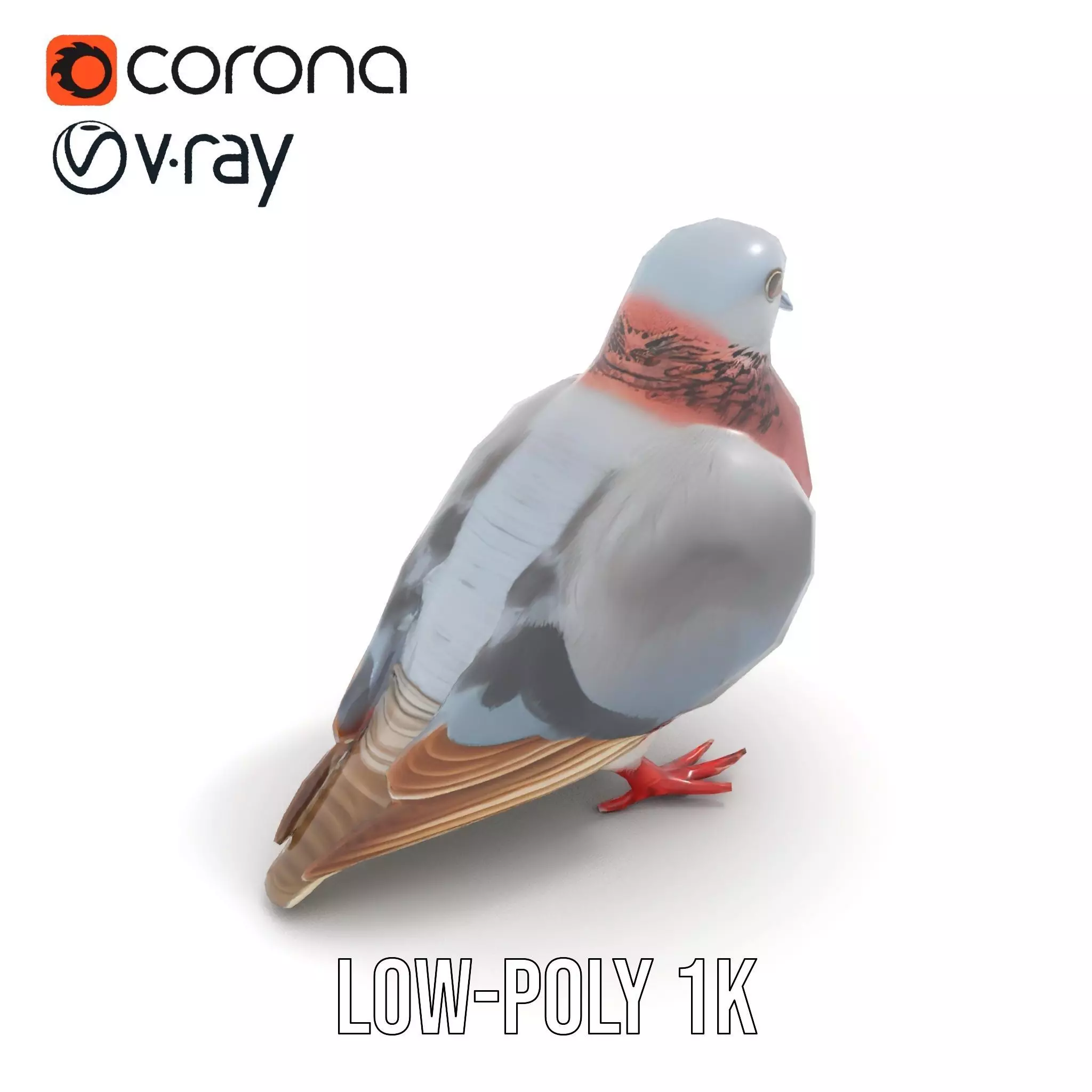Elegant Pigeon Model Pack Low-poly 3D model_8