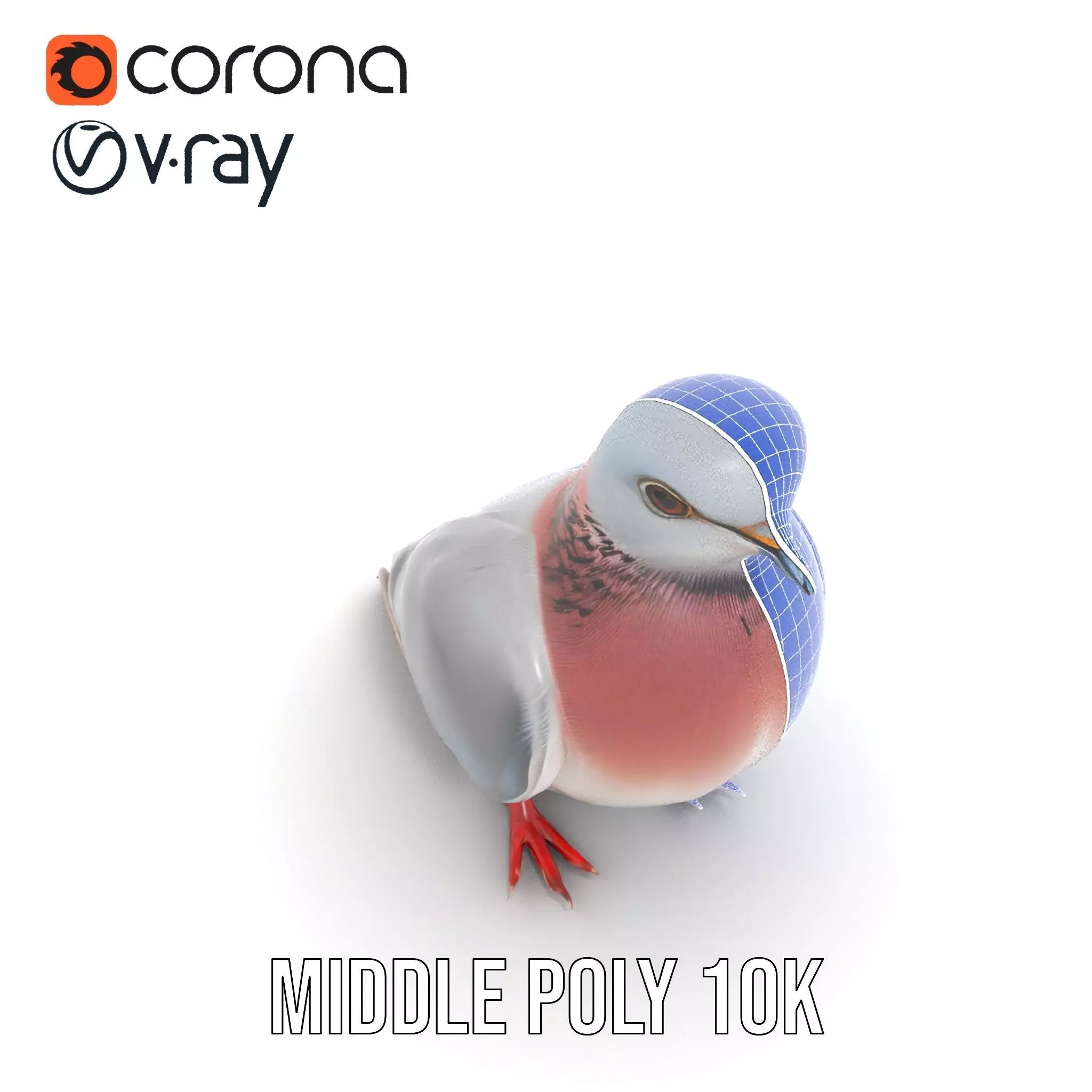 Elegant Pigeon Model Pack Low-poly 3D model_28