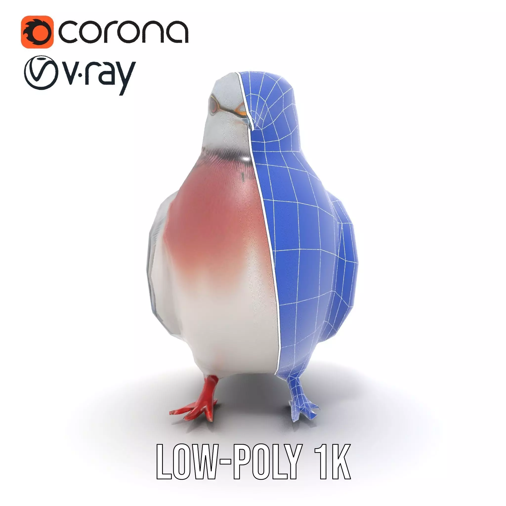 Elegant Pigeon Model Pack Low-poly 3D model_29