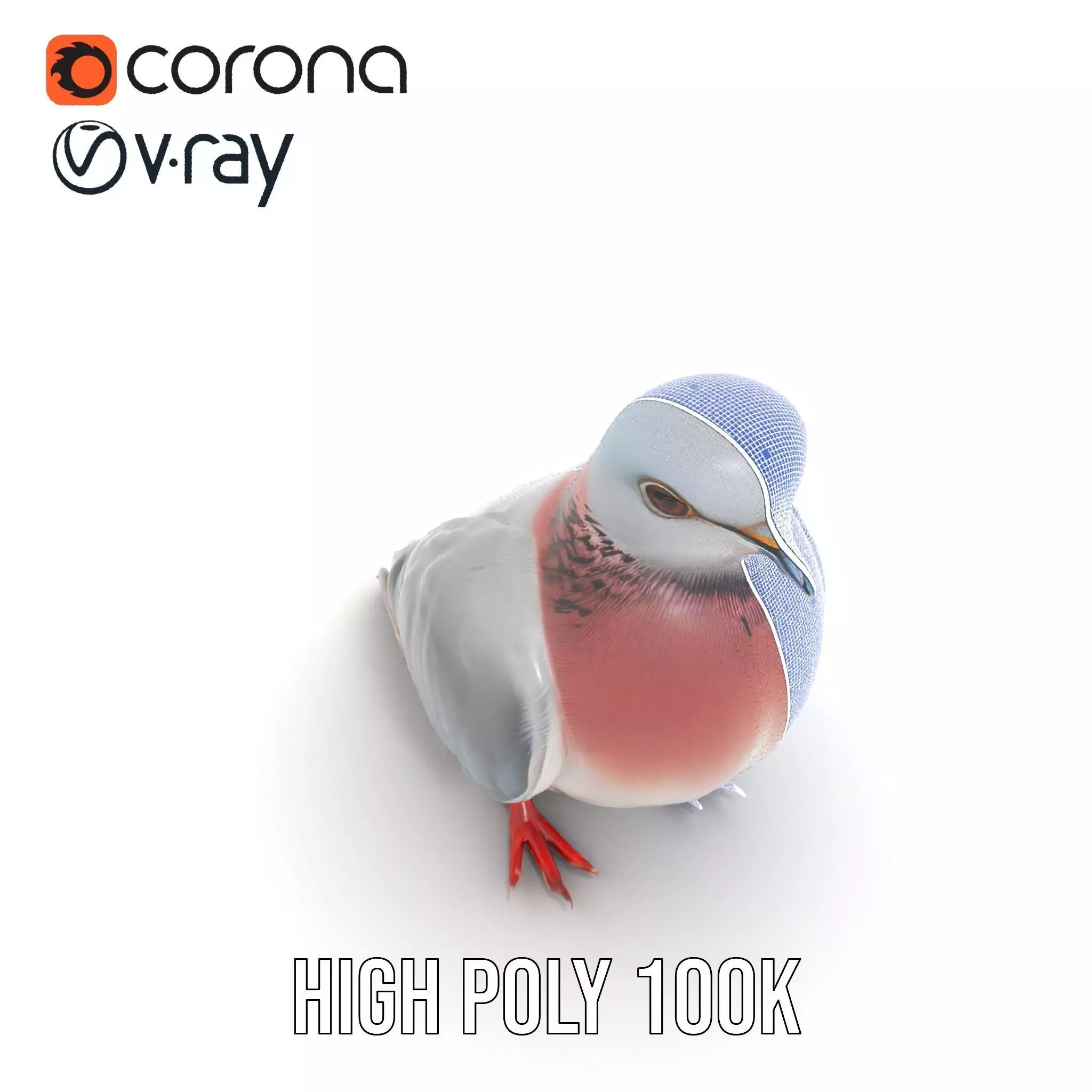 Elegant Pigeon Model Pack Low-poly 3D model_35