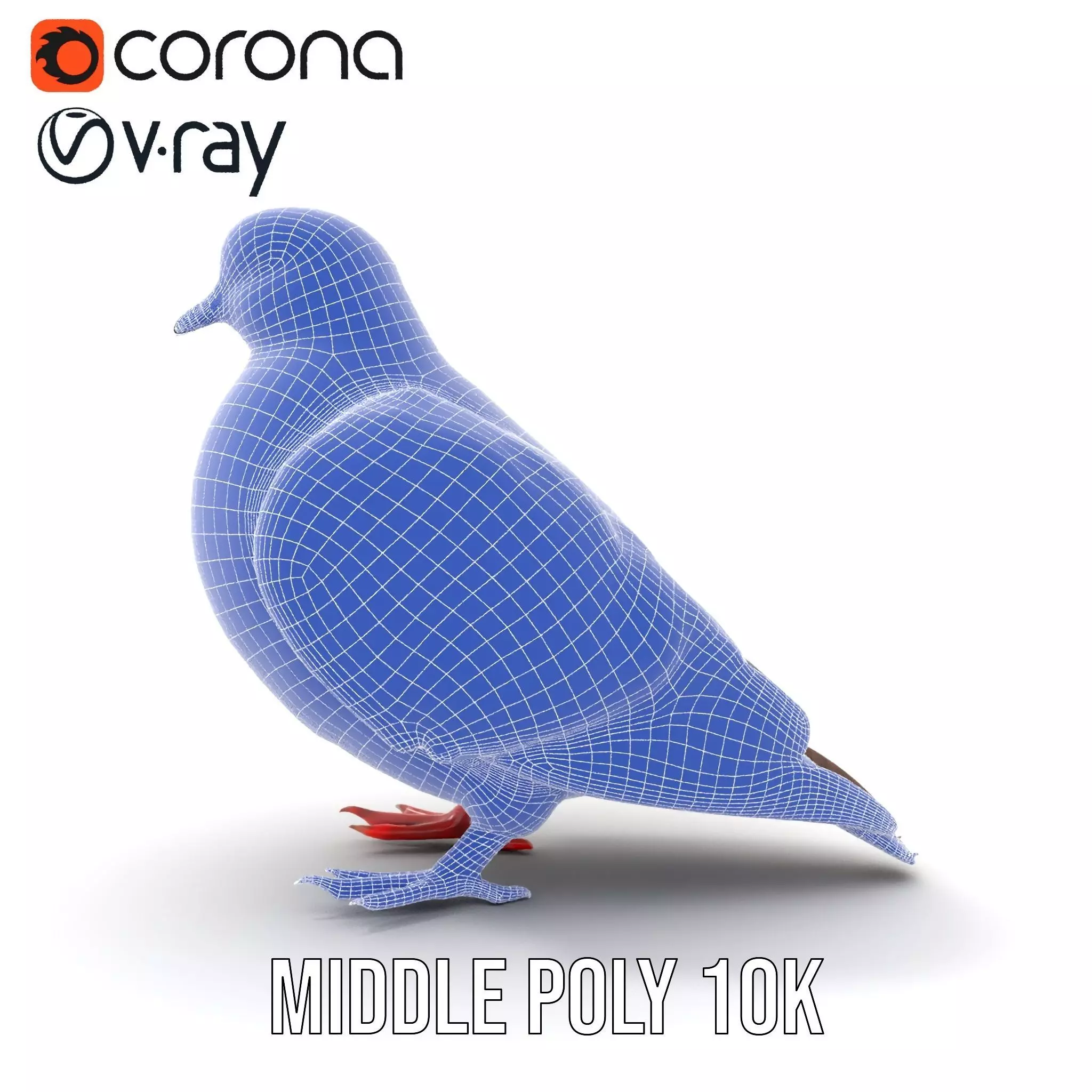 Elegant Pigeon Model Pack Low-poly 3D model_22