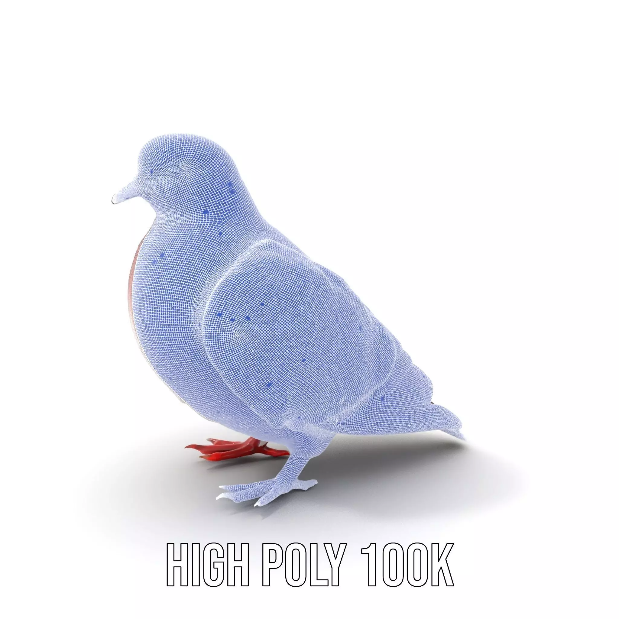 Elegant Pigeon Model Pack Low-poly 3D model_5
