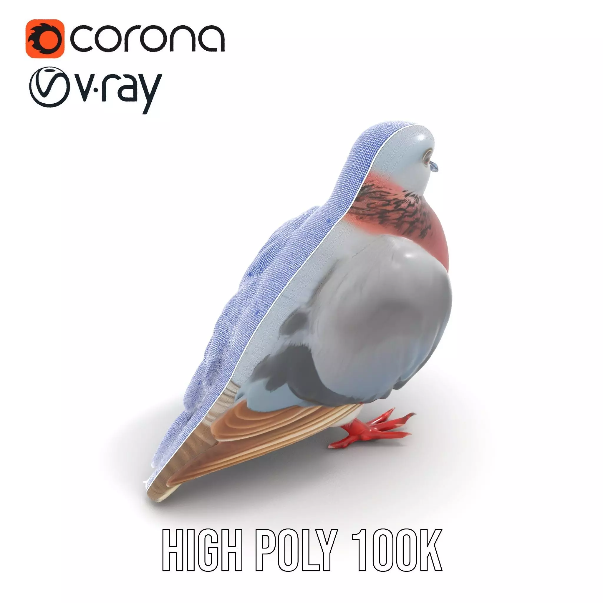 Elegant Pigeon Model Pack Low-poly 3D model_33