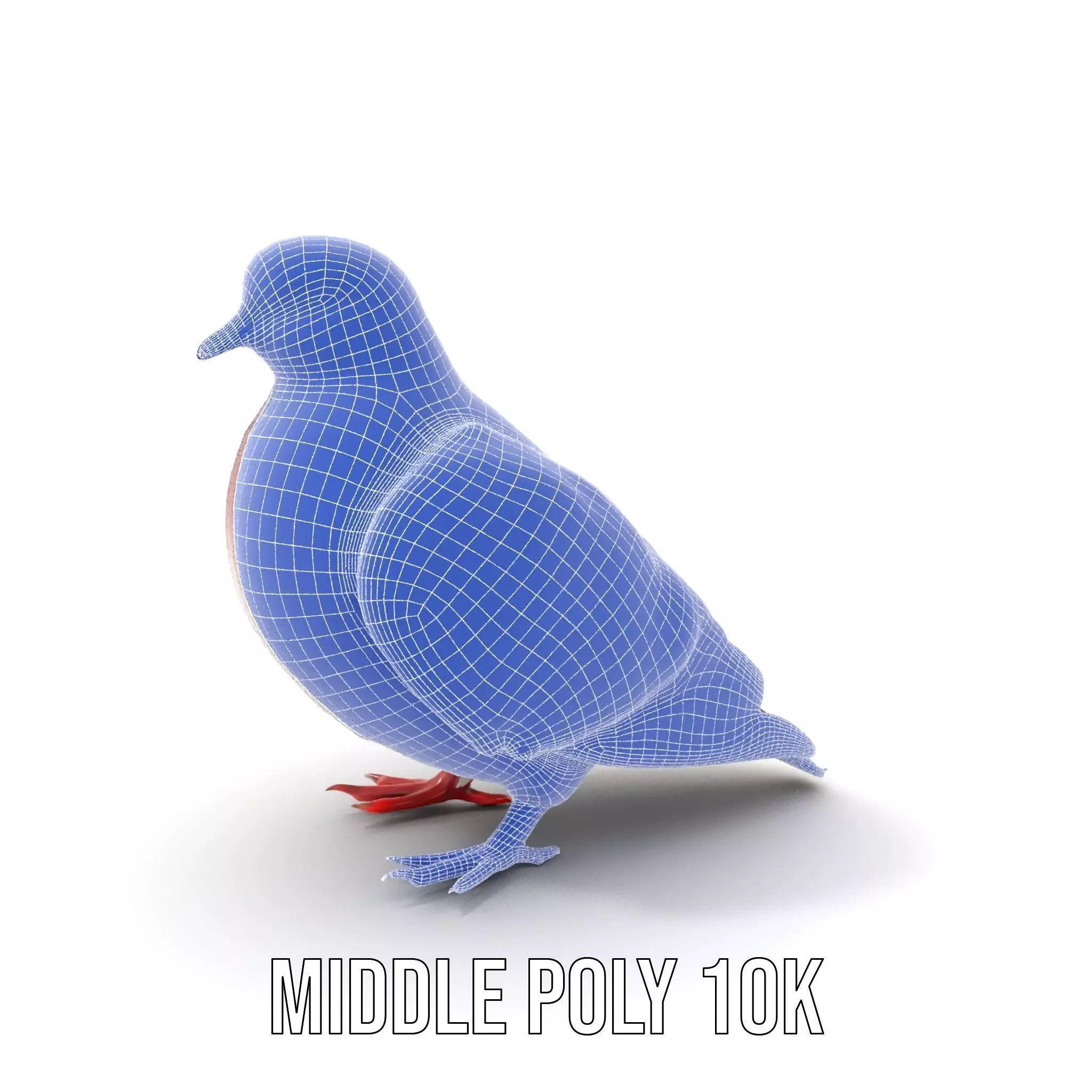 Elegant Pigeon Model Pack Low-poly 3D model_20