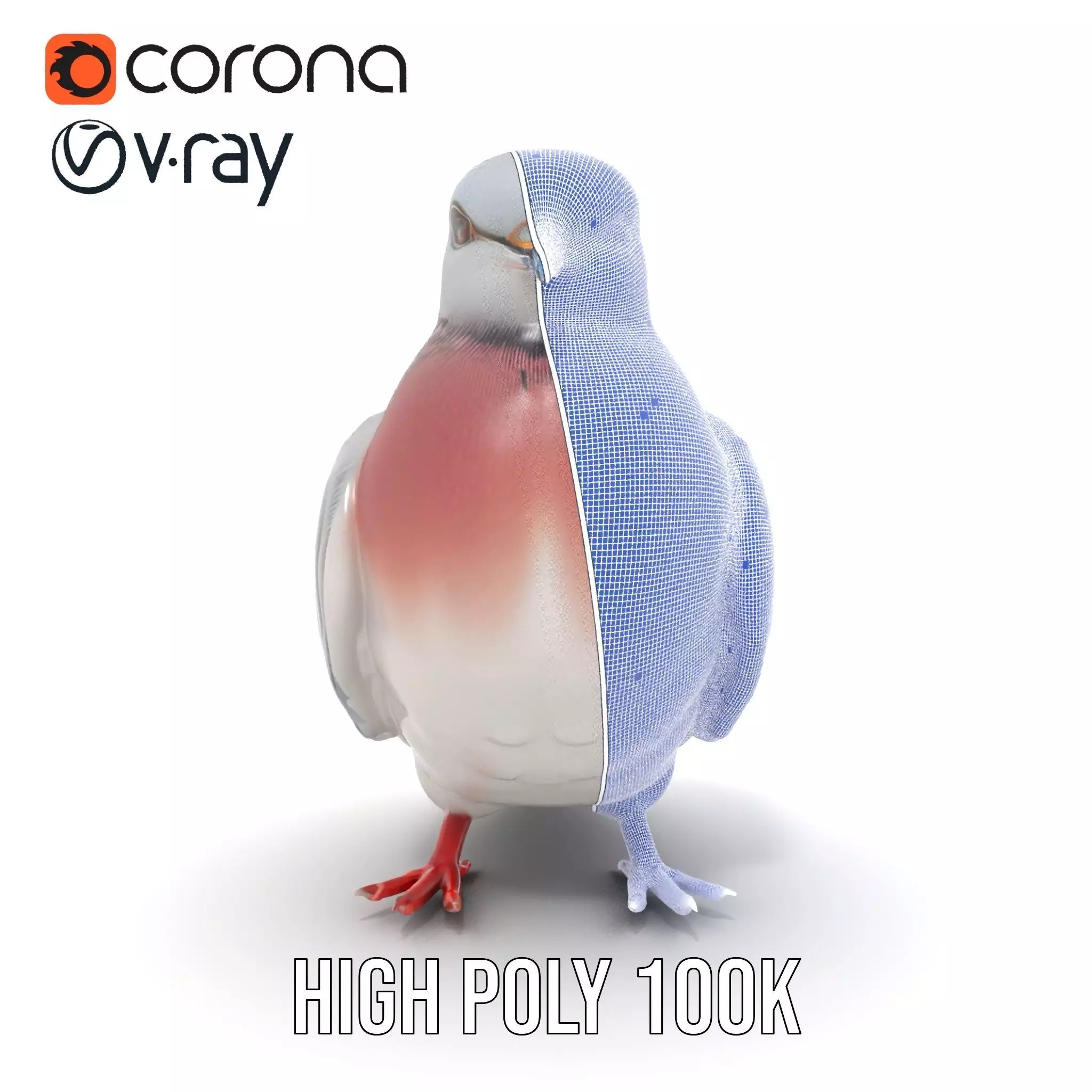 Elegant Pigeon Model Pack Low-poly 3D model_32