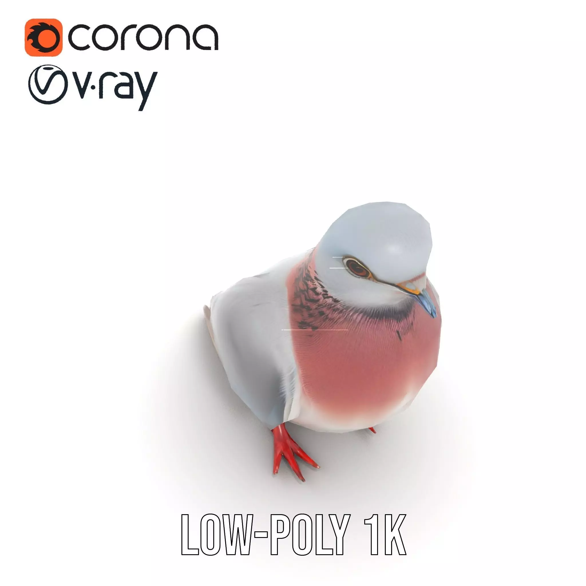 Elegant Pigeon Model Pack Low-poly 3D model_15