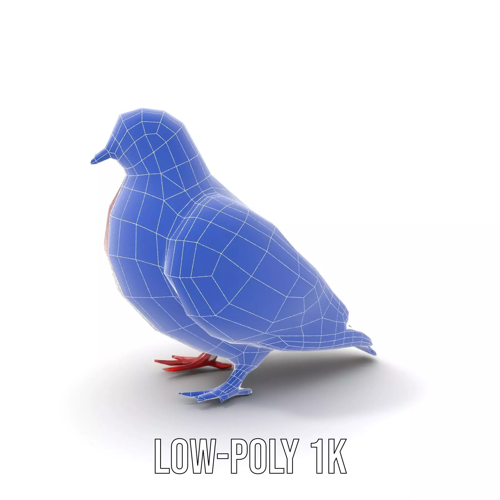 Elegant Pigeon Model Pack Low-poly 3D model_13