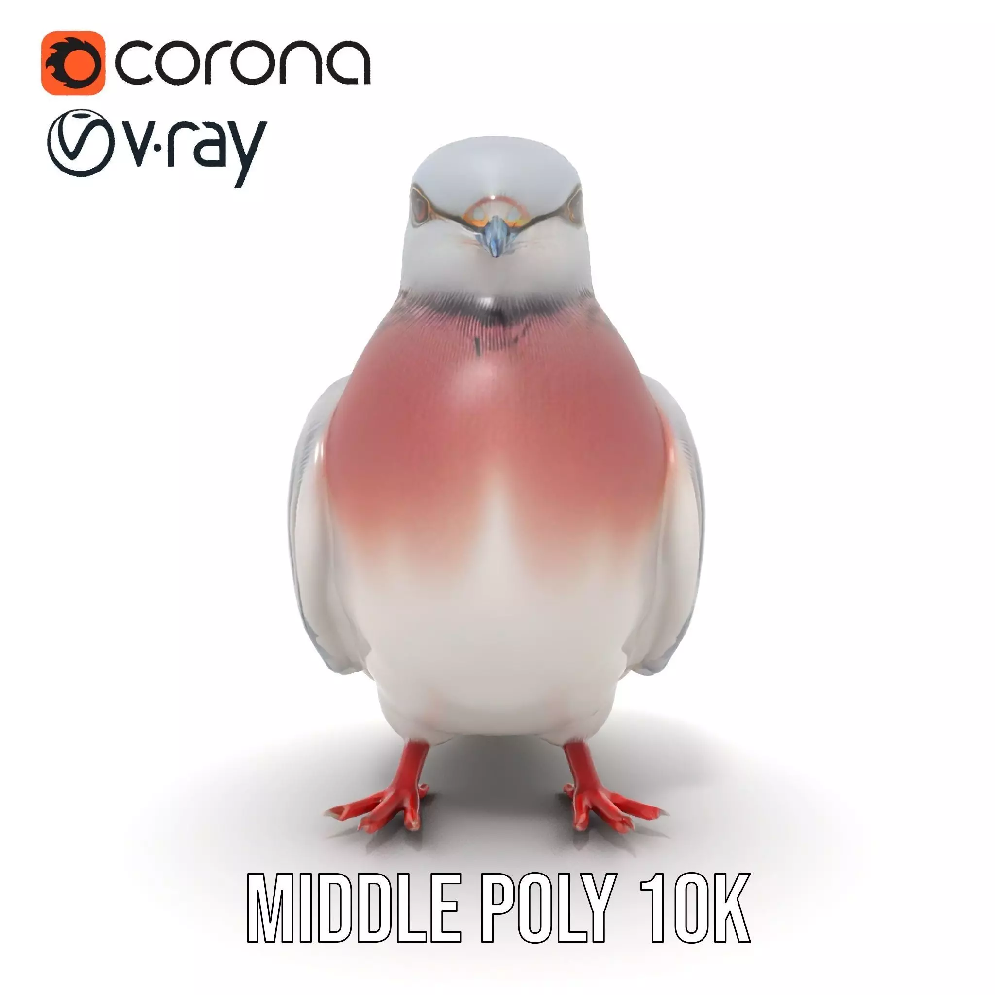 Elegant Pigeon Model Pack Low-poly 3D model_6
