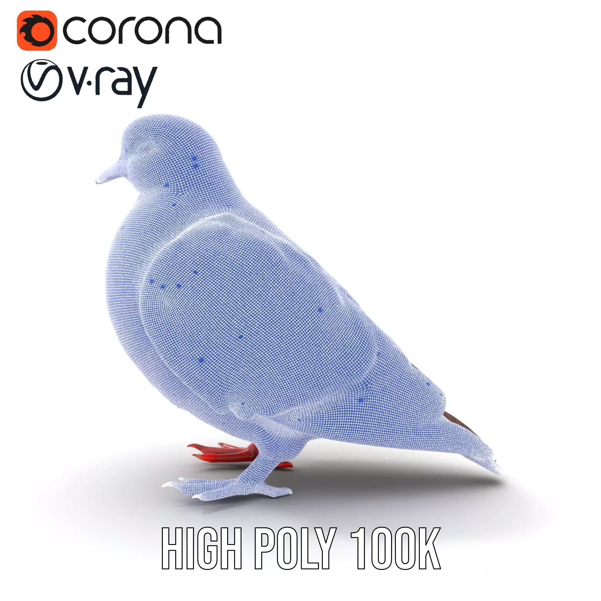 Elegant Pigeon Model Pack Low-poly 3D model_34