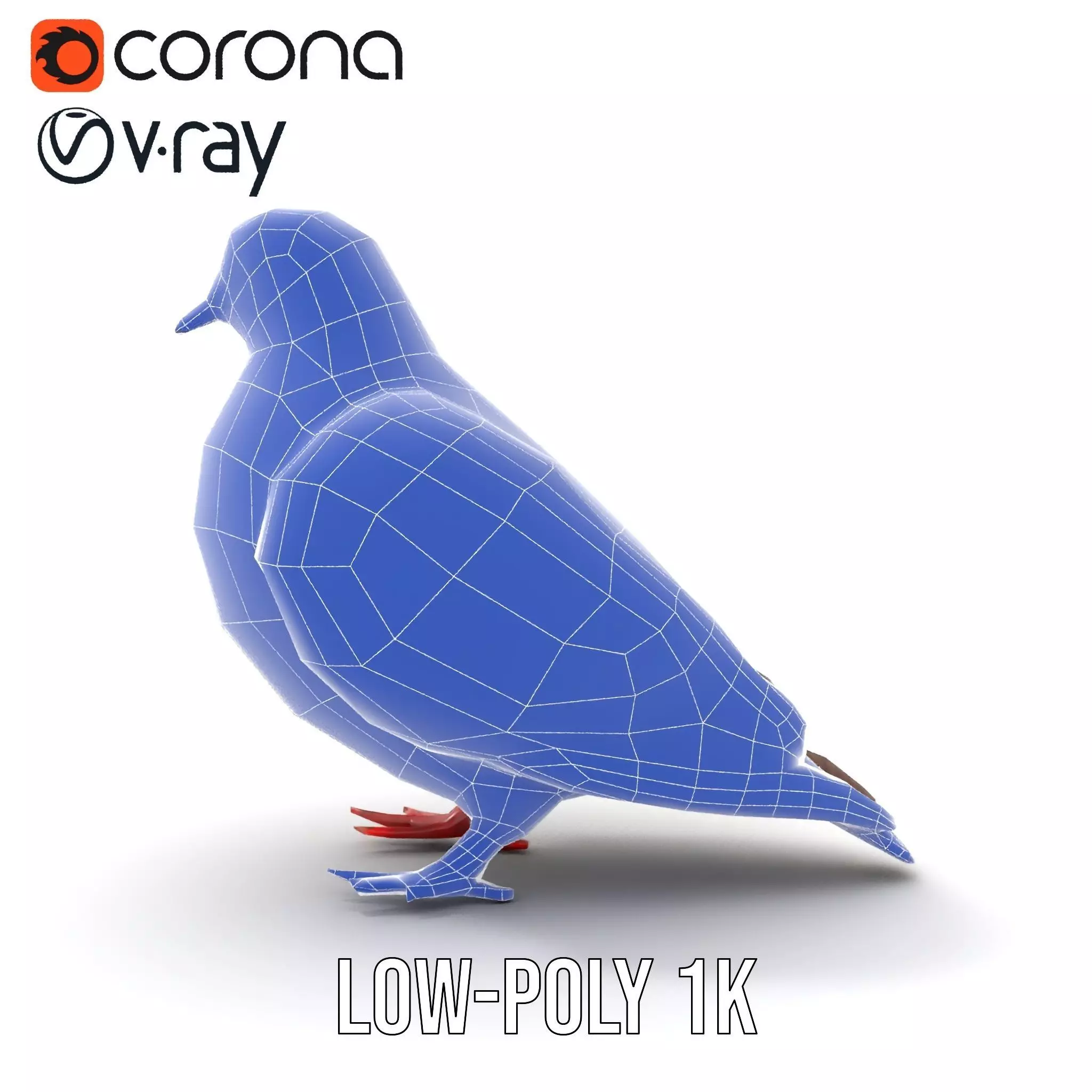 Elegant Pigeon Model Pack Low-poly 3D model_10