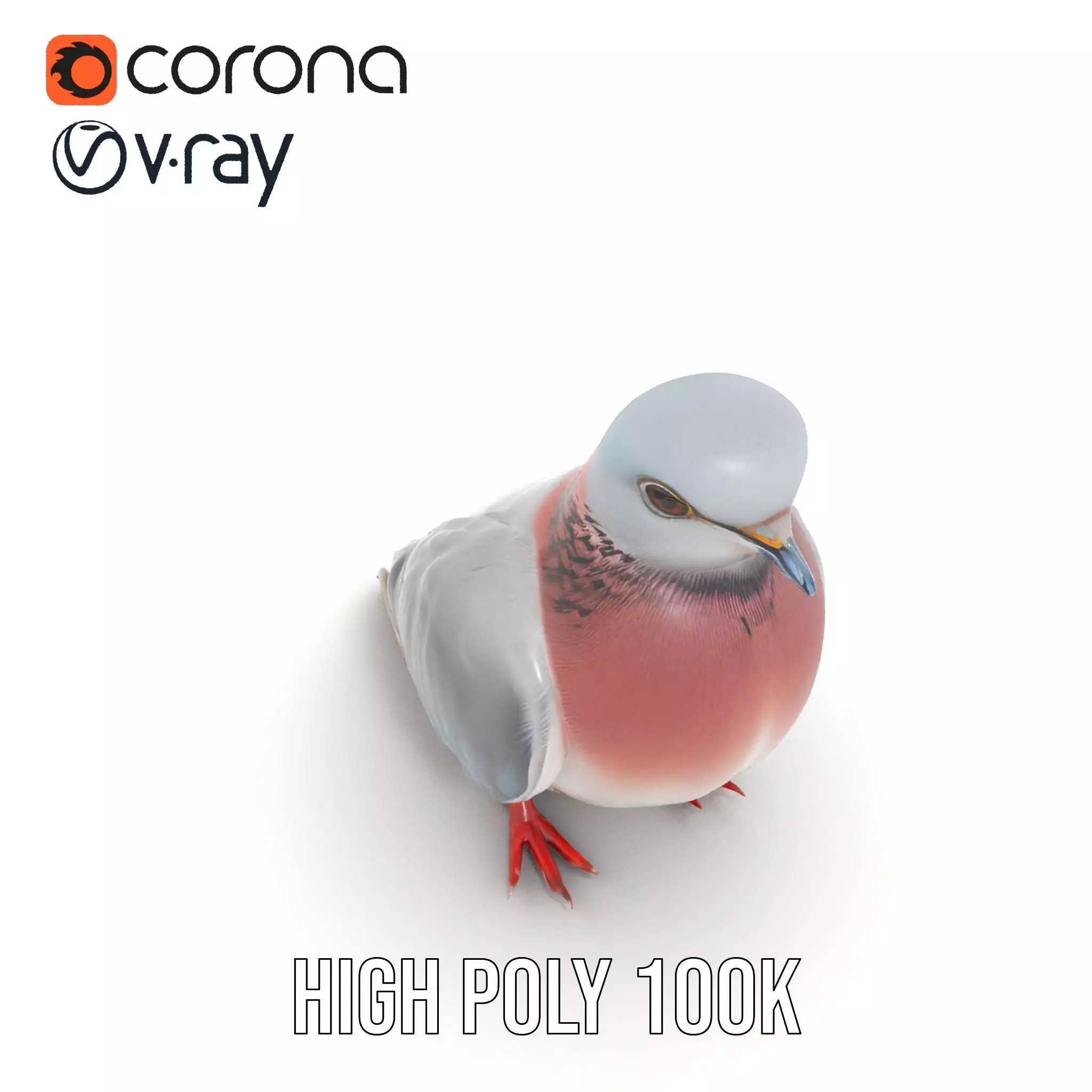 Elegant Pigeon Model Pack Low-poly 3D model_19
