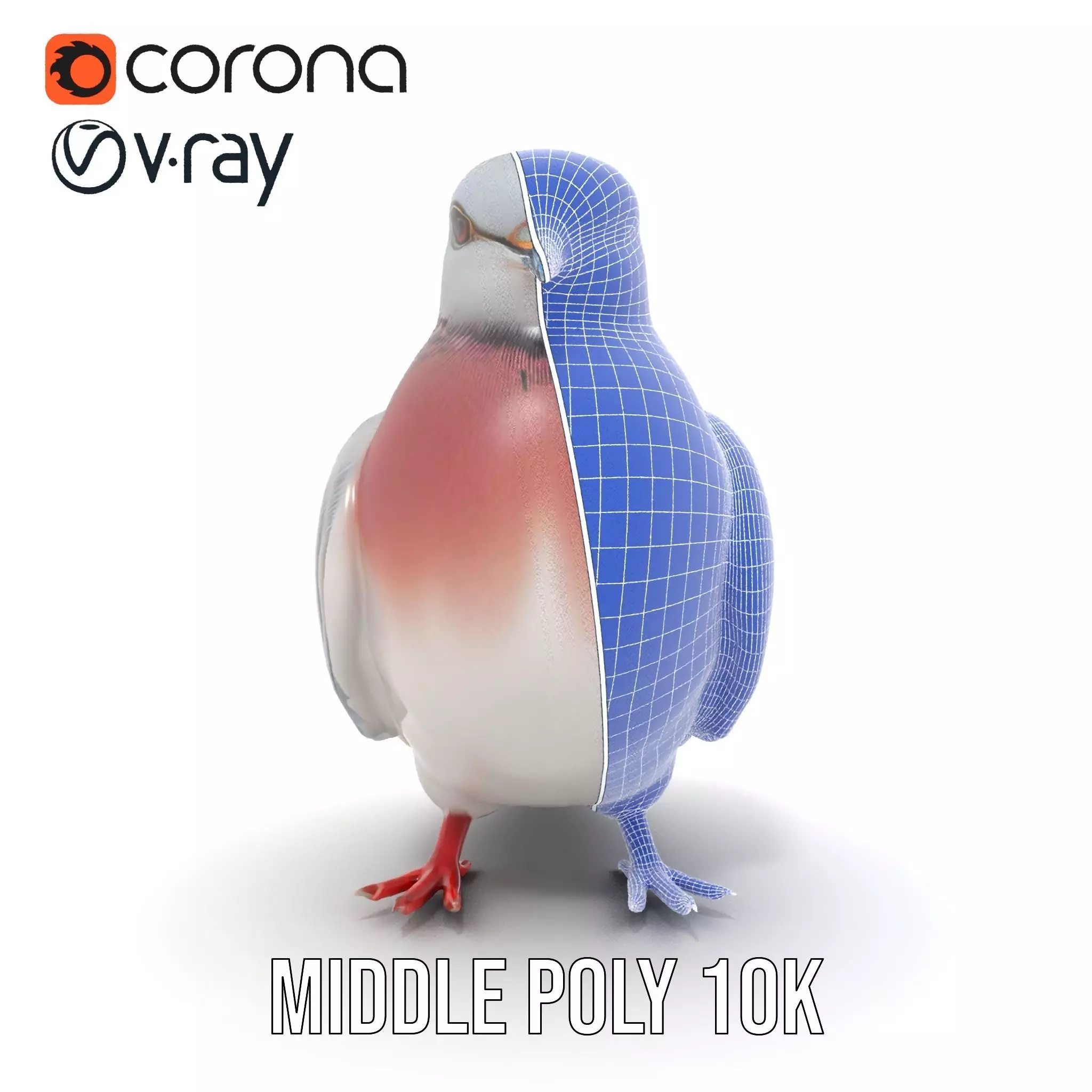Elegant Pigeon Model Pack Low-poly 3D model_30