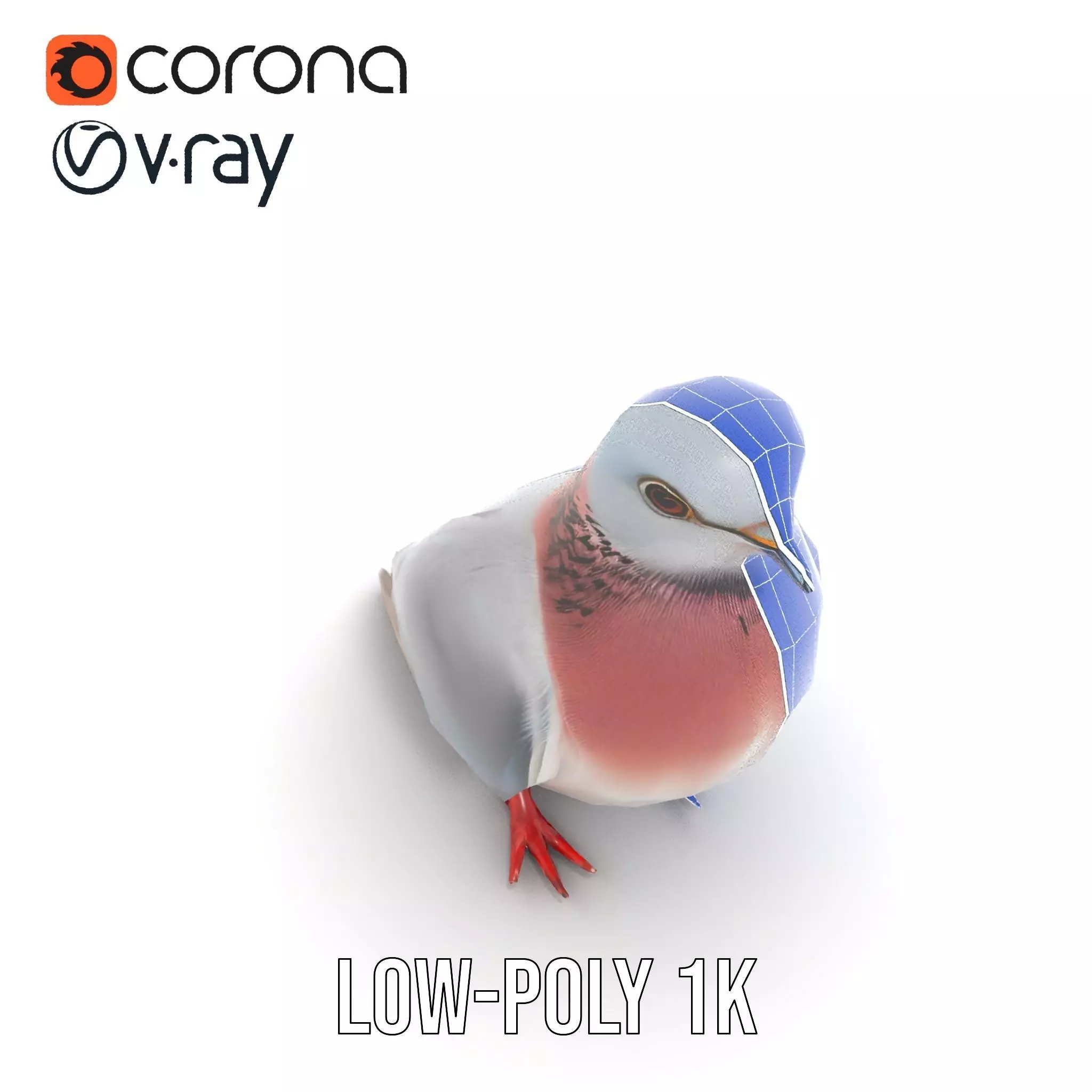 Elegant Pigeon Model Pack Low-poly 3D model_31