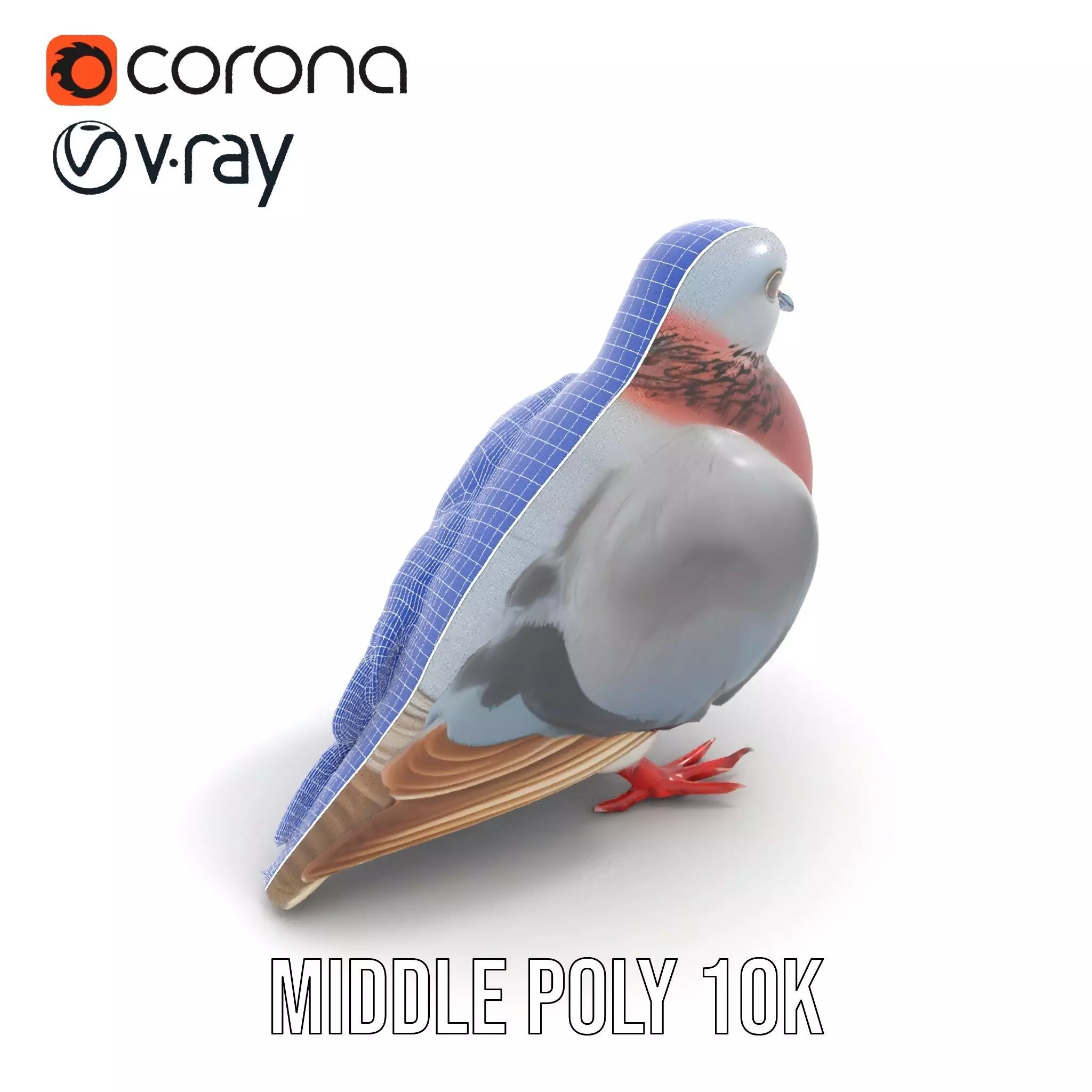 Elegant Pigeon Model Pack Low-poly 3D model_25