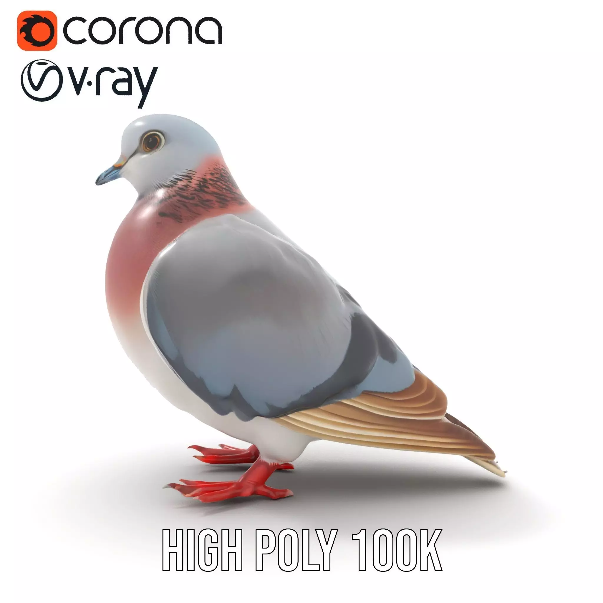 Elegant Pigeon Model Pack Low-poly 3D model_24