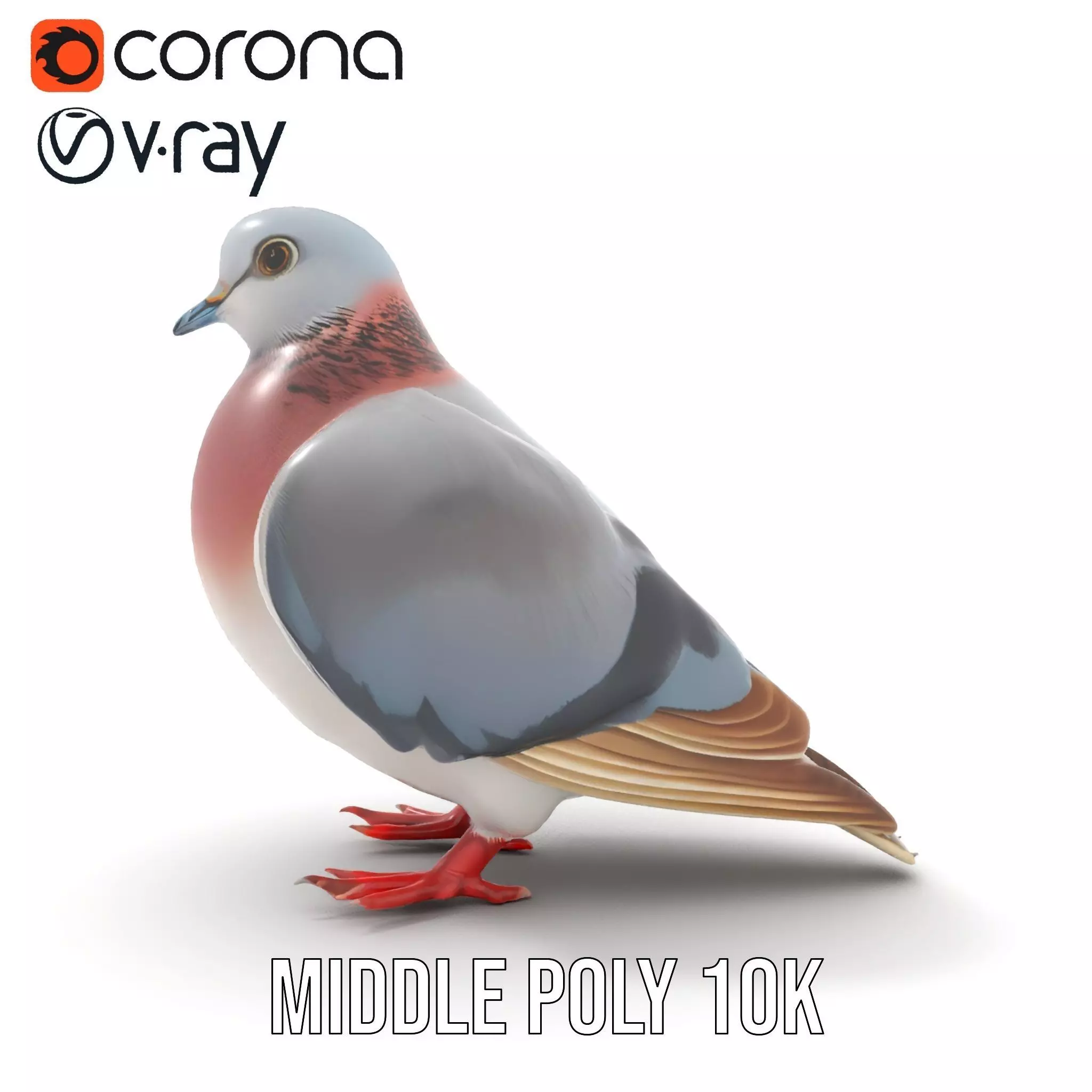 Elegant Pigeon Model Pack Low-poly 3D model_12