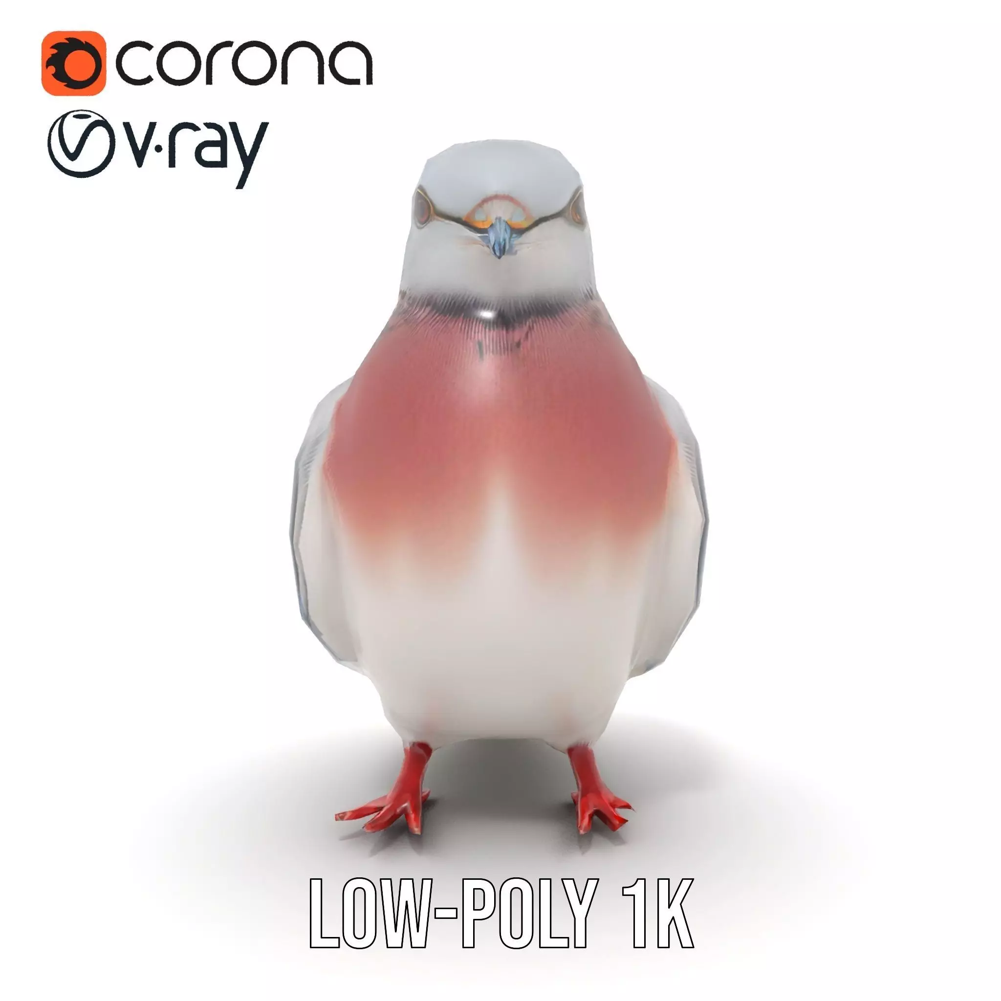 Elegant Pigeon Model Pack Low-poly 3D model_23