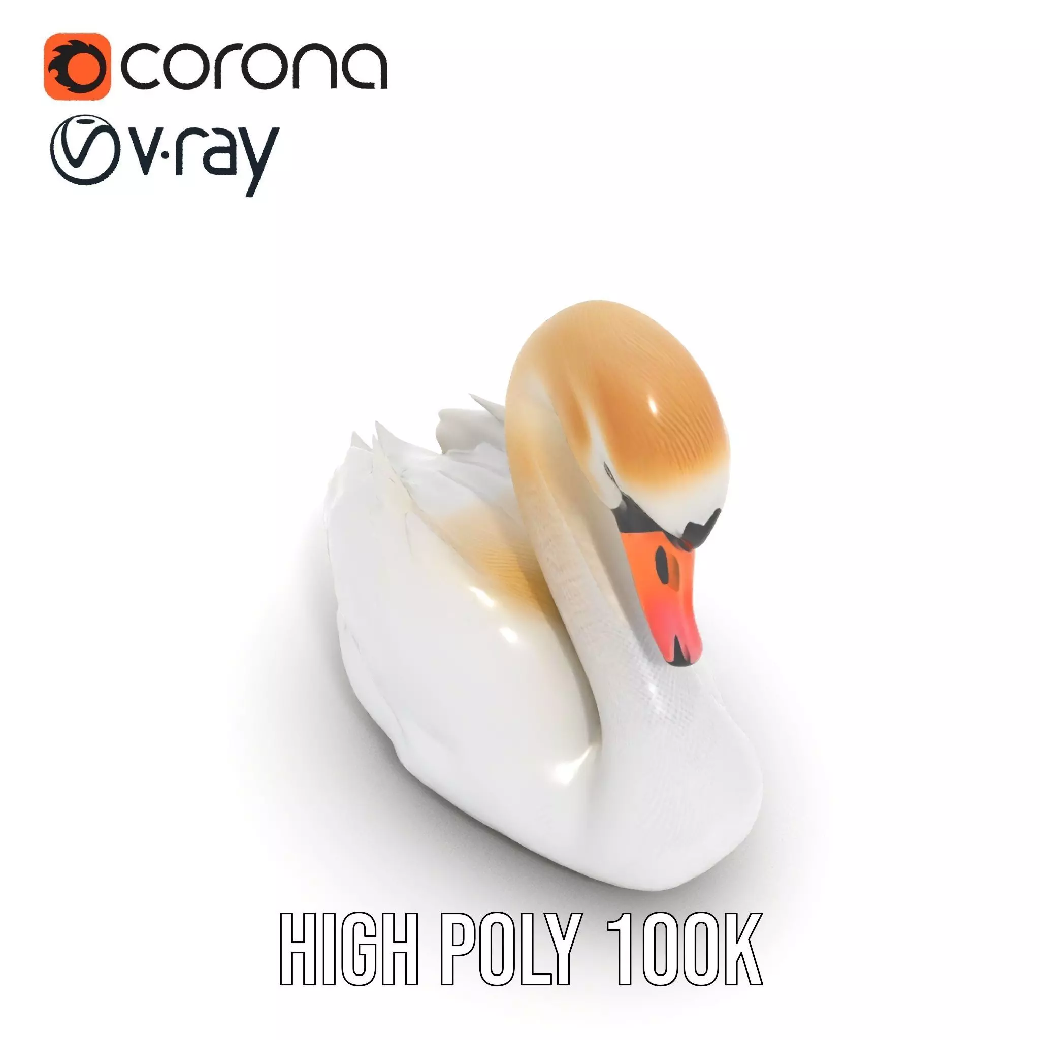 Elegant White Swan model pack Low-poly 3D model_24