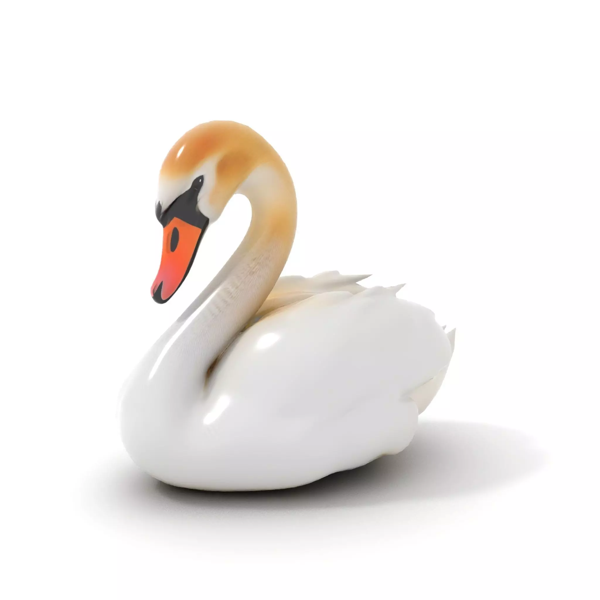 Elegant White Swan model pack Low-poly 3D model_12