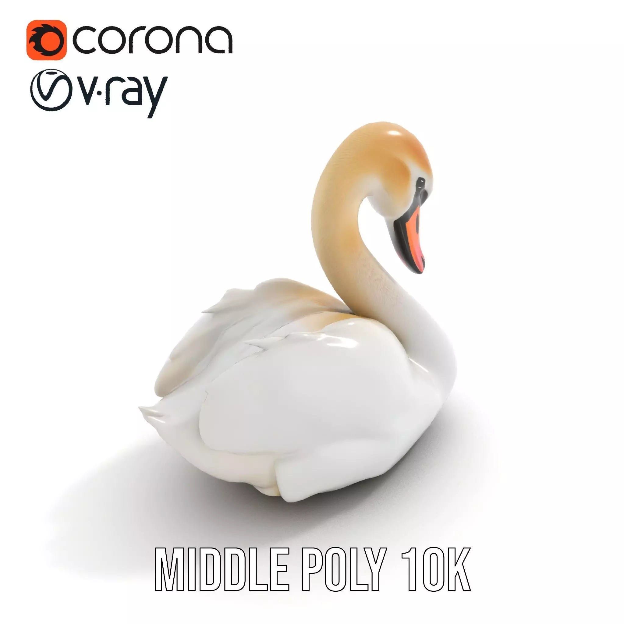 Elegant White Swan model pack Low-poly 3D model_6