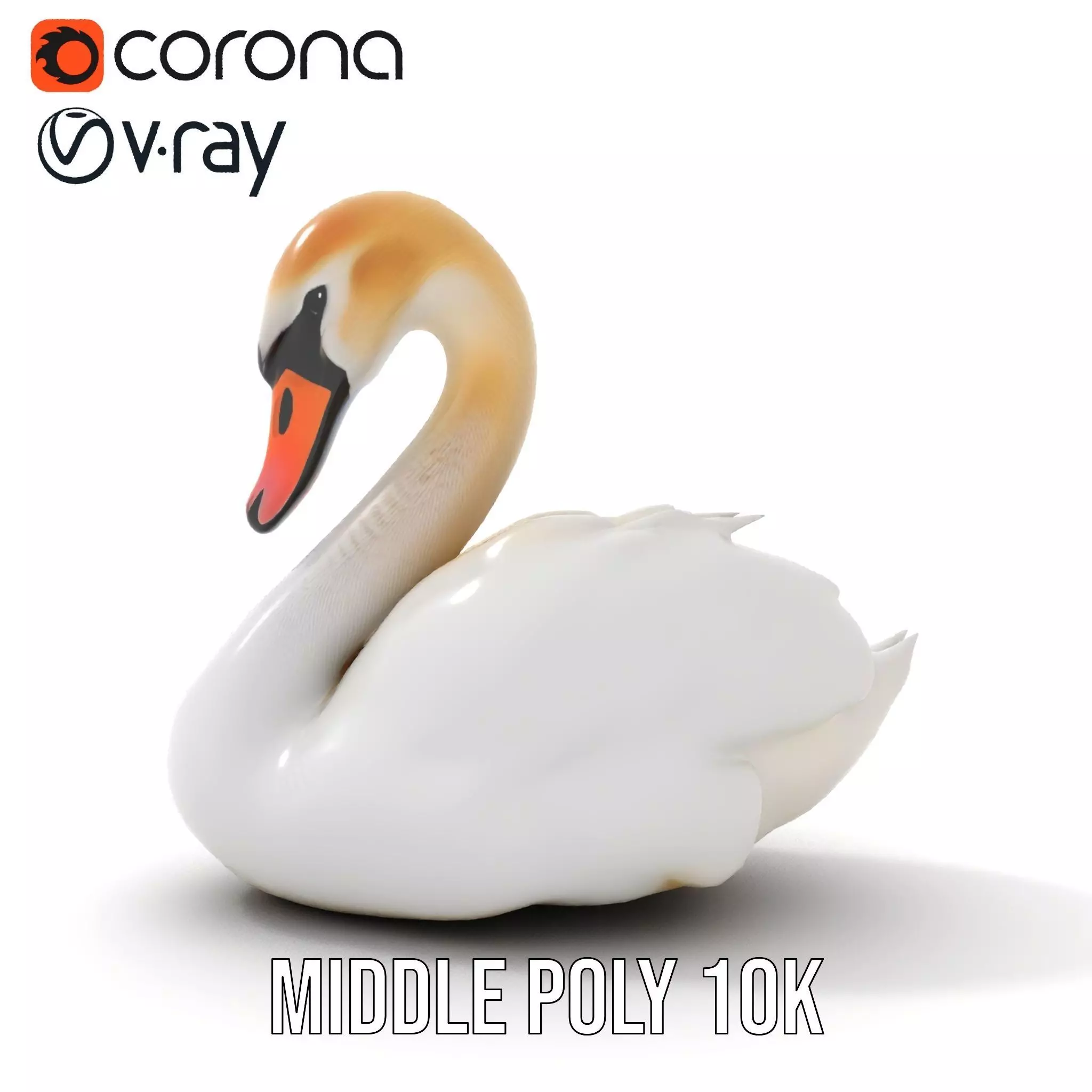 Elegant White Swan model pack Low-poly 3D model_30