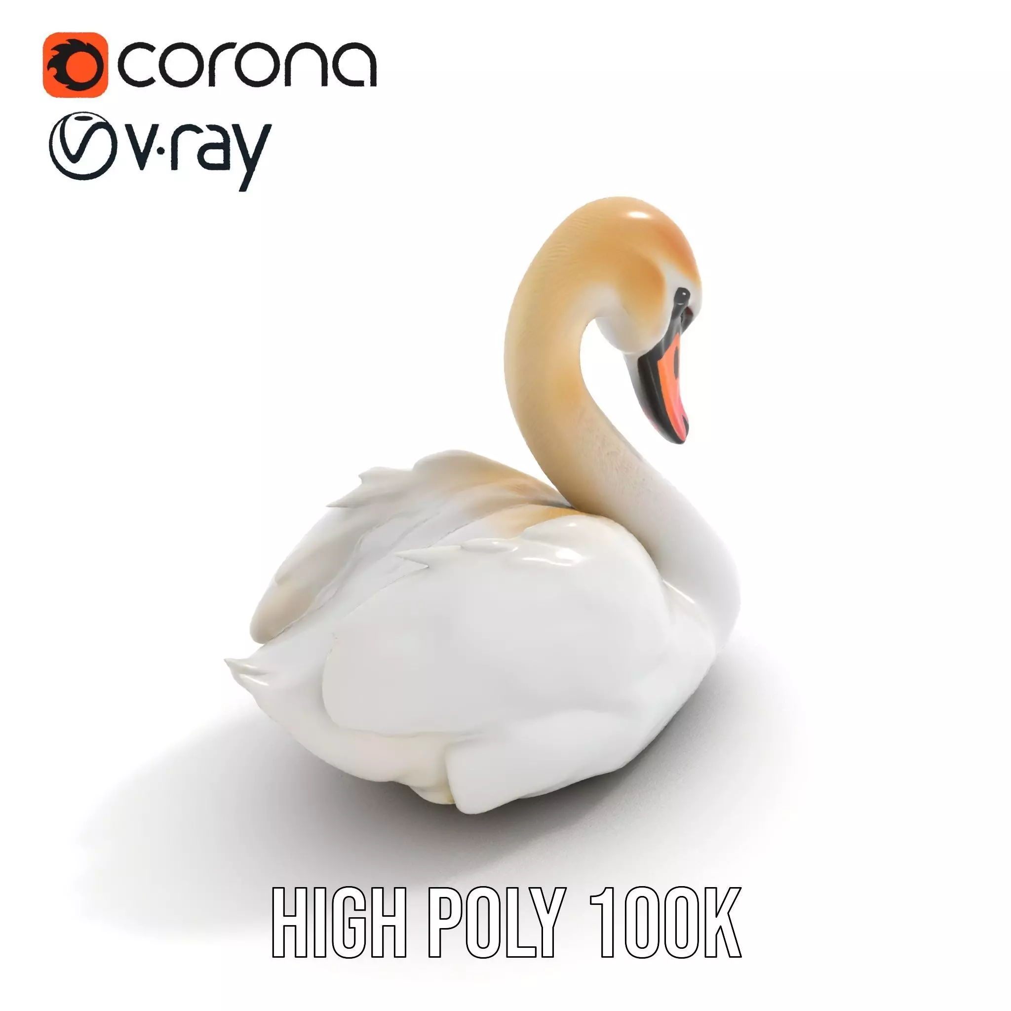 Elegant White Swan model pack Low-poly 3D model_27
