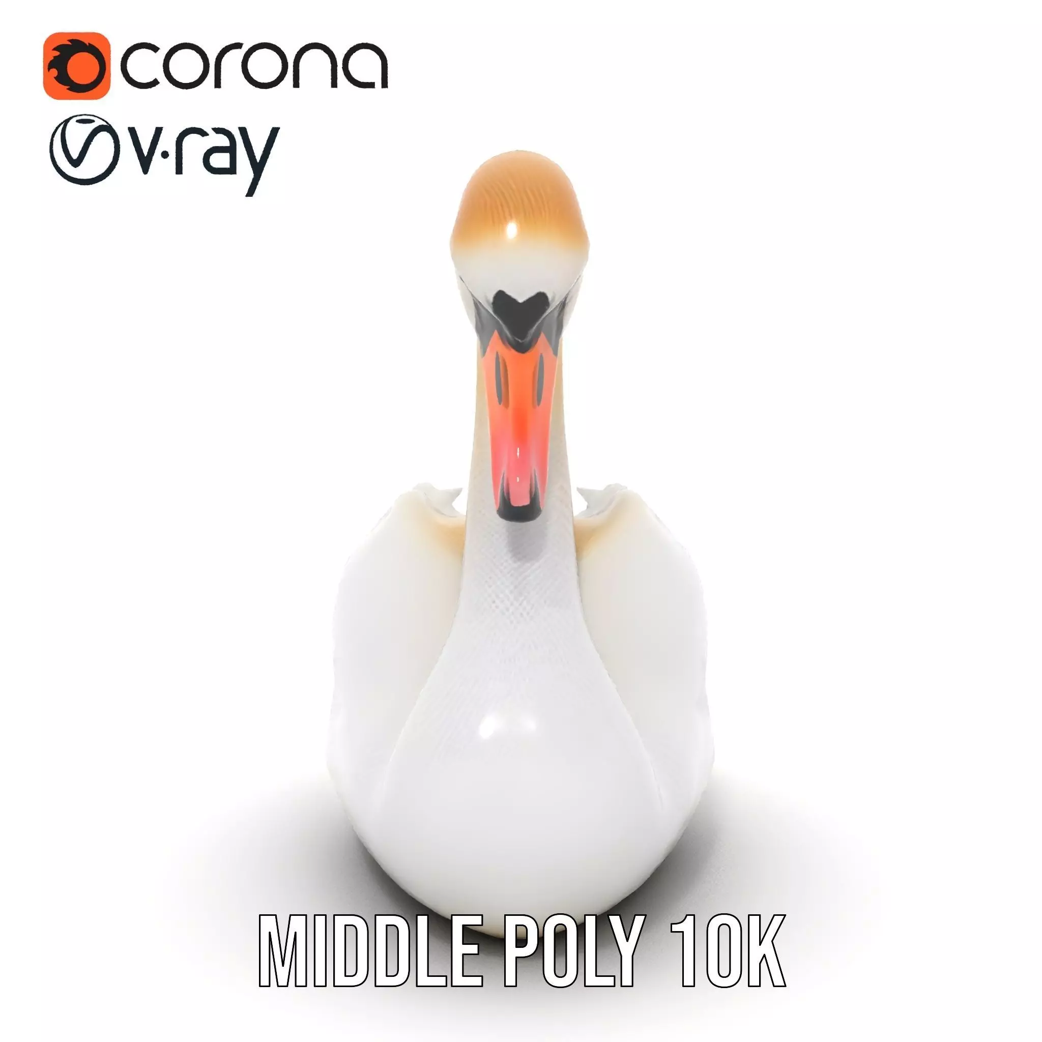 Elegant White Swan model pack Low-poly 3D model_20