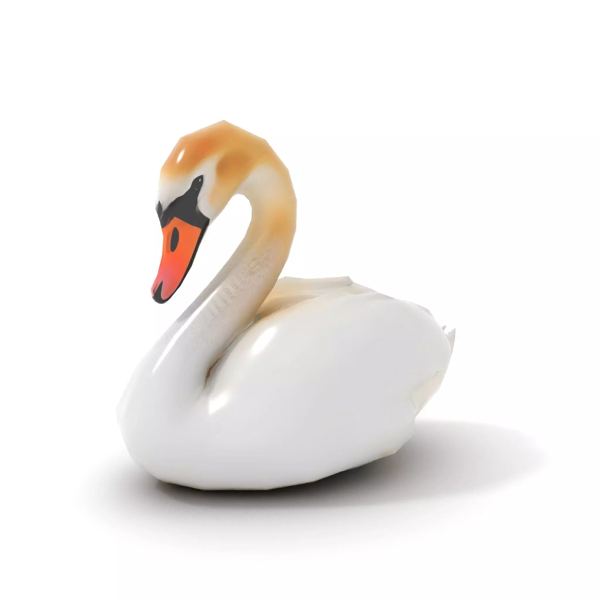 Elegant White Swan model pack Low-poly 3D model_8