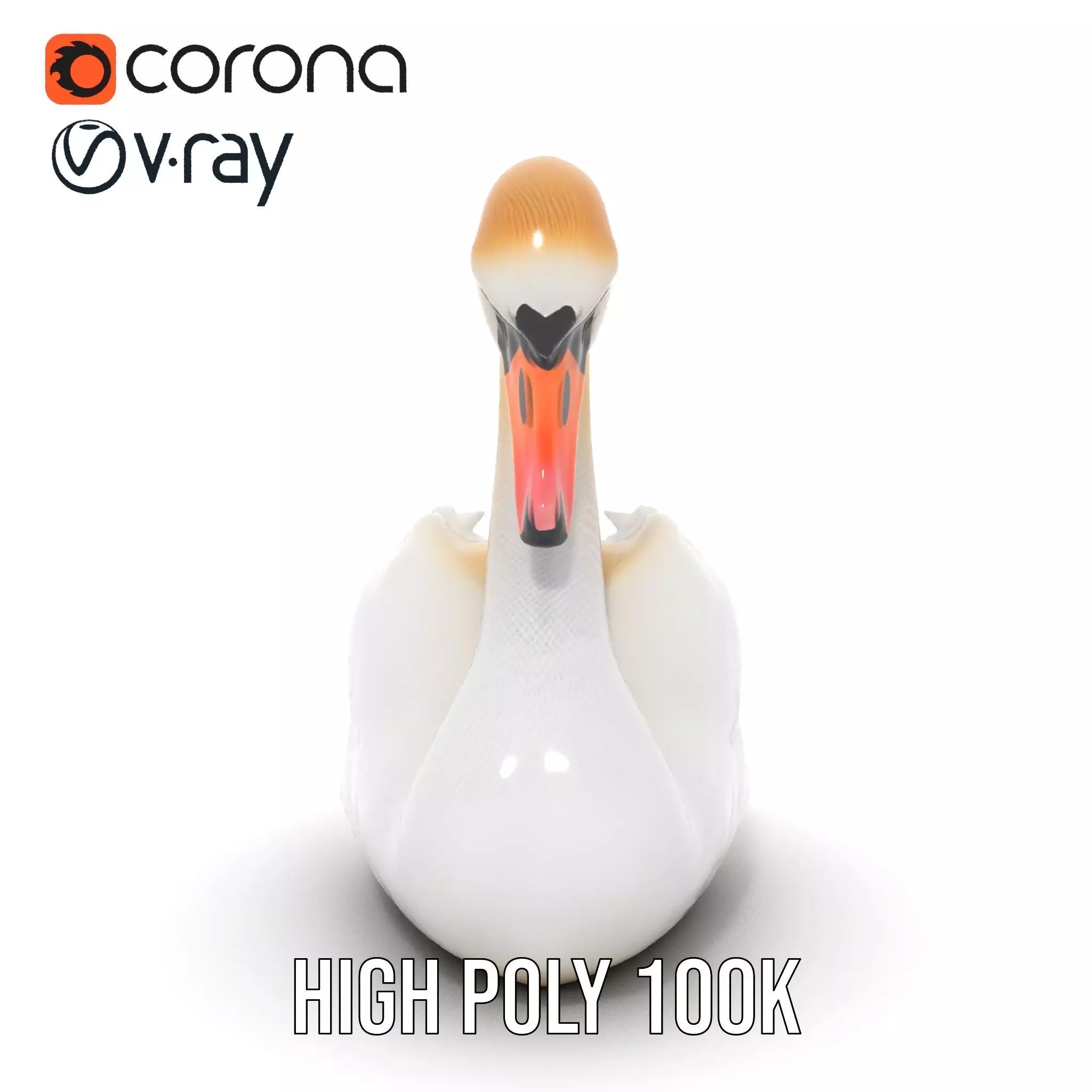 Elegant White Swan model pack Low-poly 3D model_19