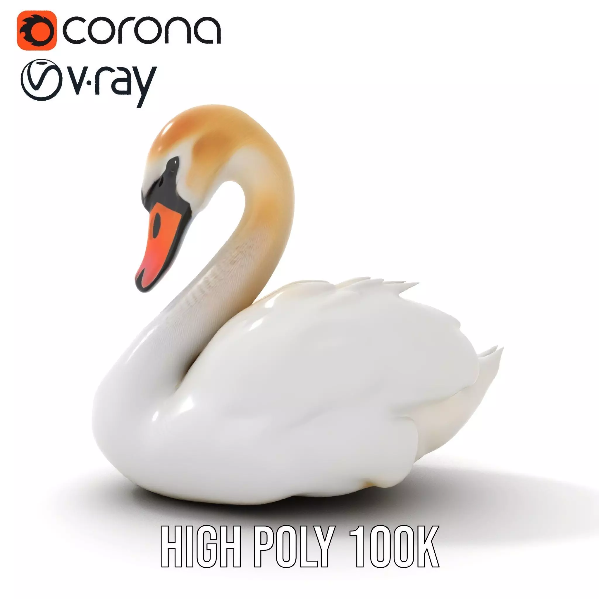 Elegant White Swan model pack Low-poly 3D model_16