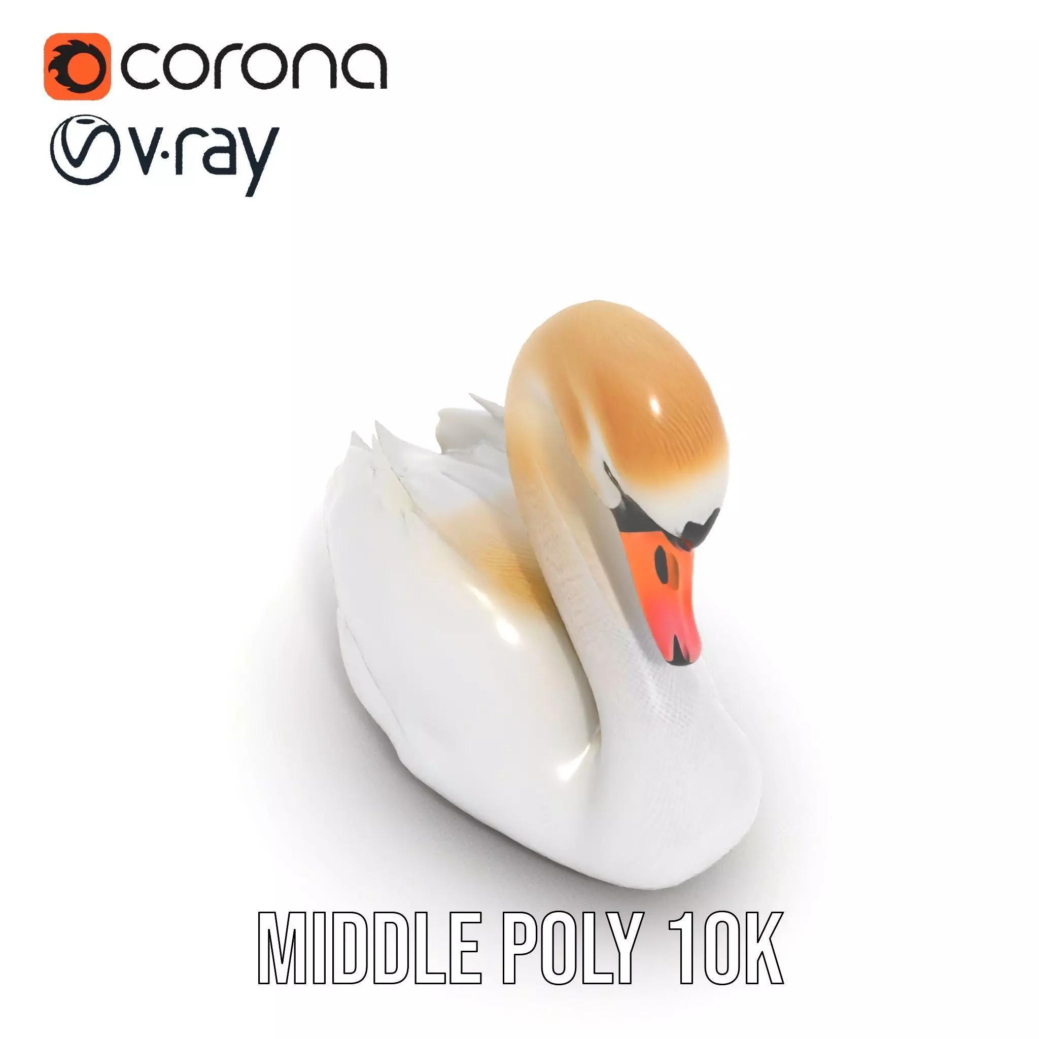 Elegant White Swan model pack Low-poly 3D model_22