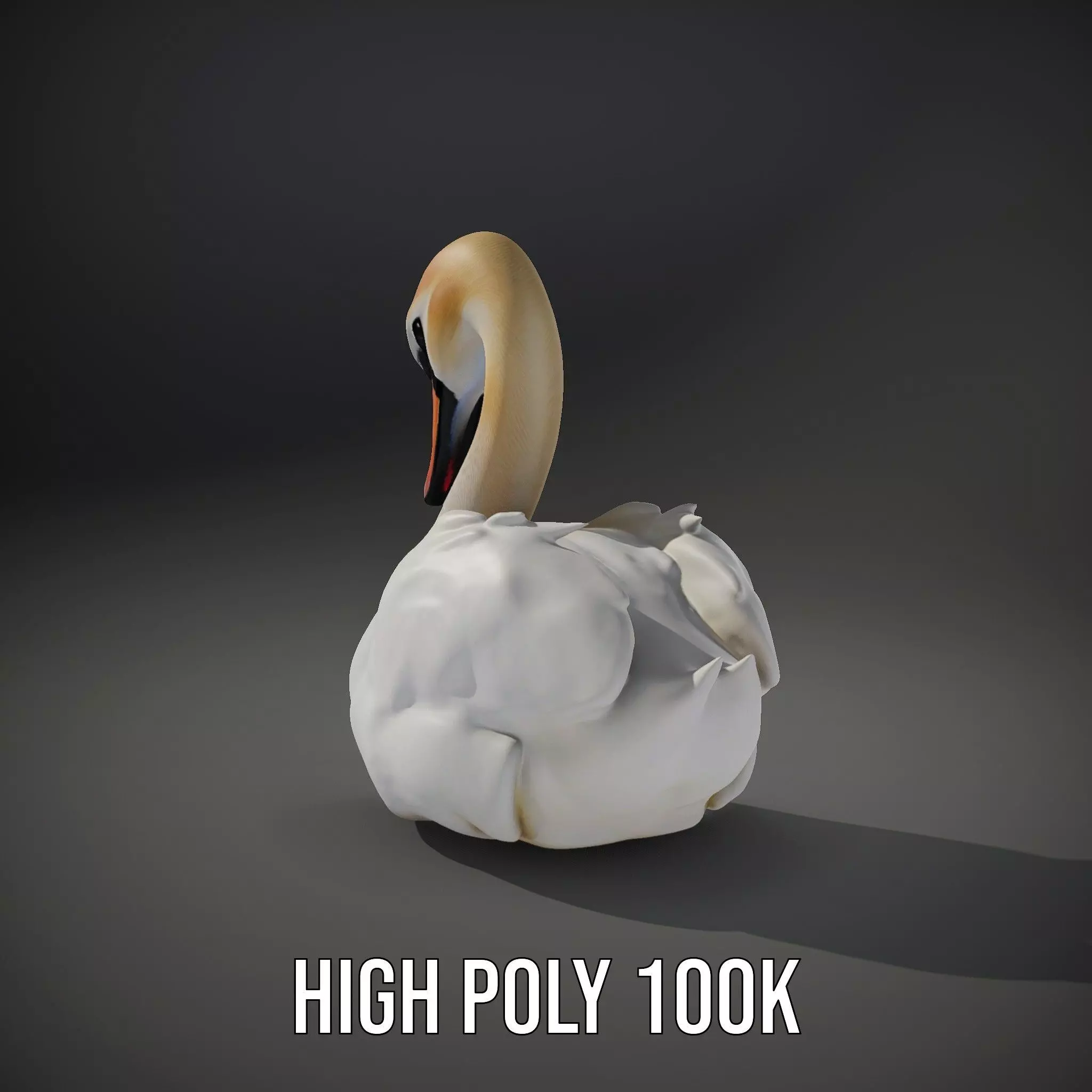 Elegant White Swan model pack Low-poly 3D model_11