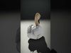 Elegant White Swan model pack Low-poly 3D model_2