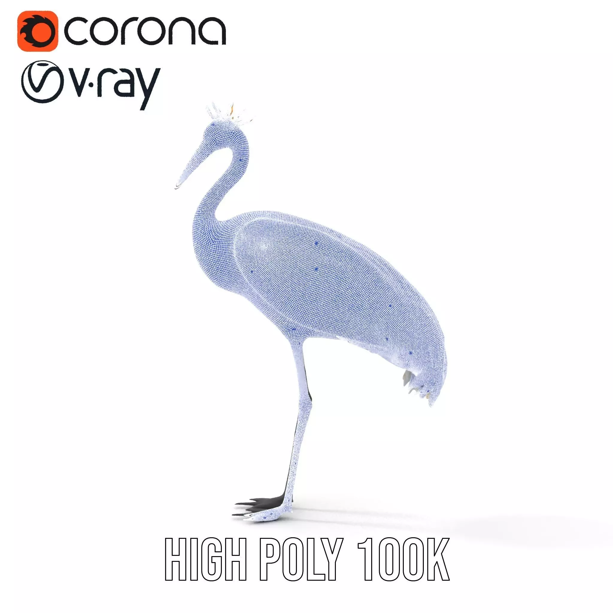 Elegant Crowned Crane model pack Low-poly 3D model_30