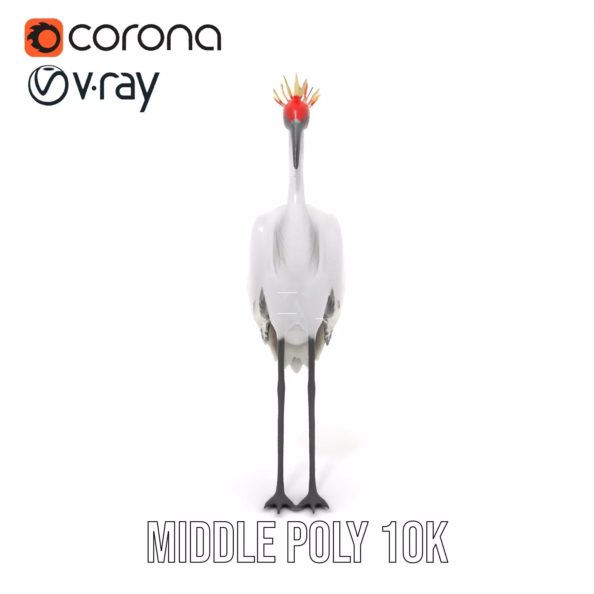 Elegant Crowned Crane model pack Low-poly 3D model_17