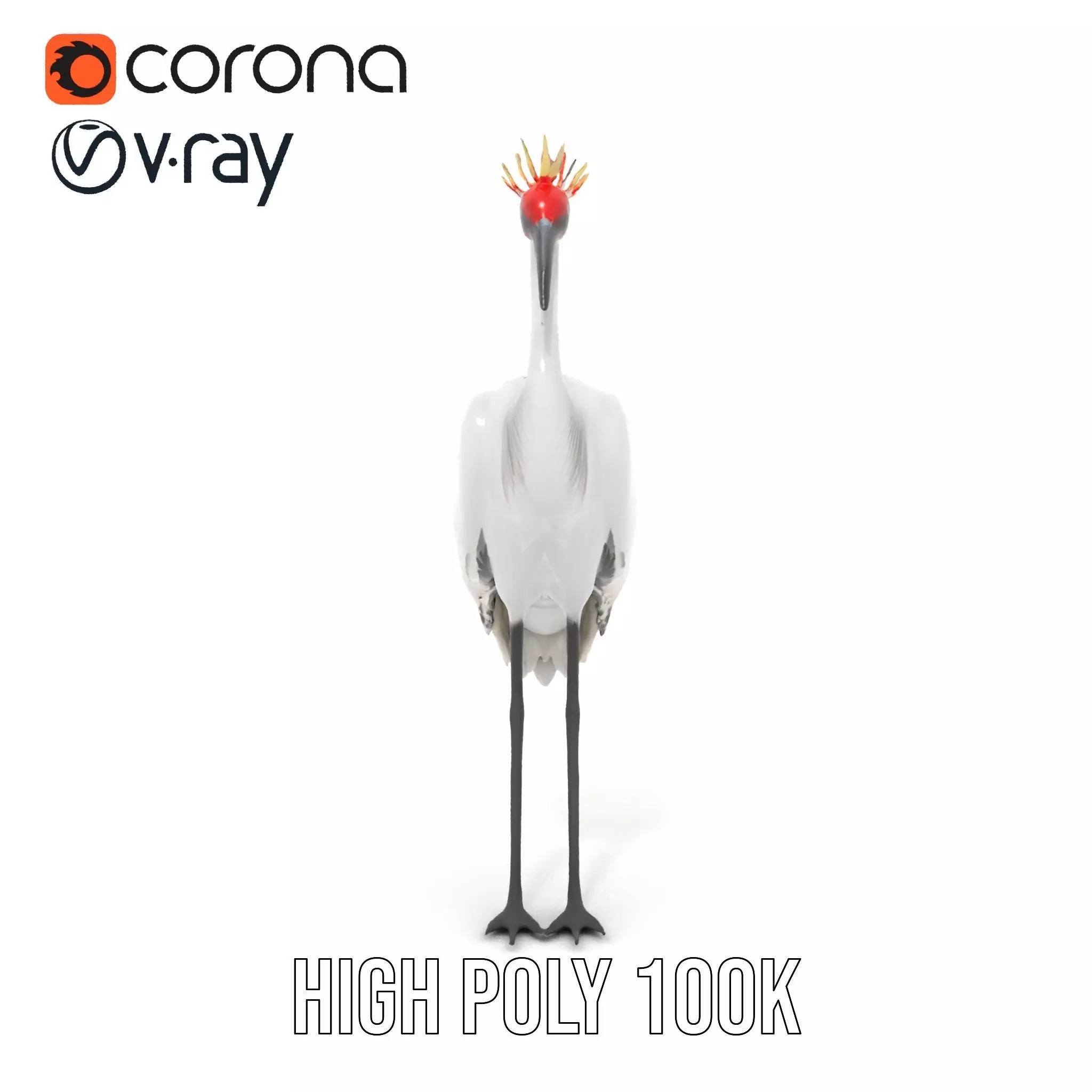 Elegant Crowned Crane model pack Low-poly 3D model_34