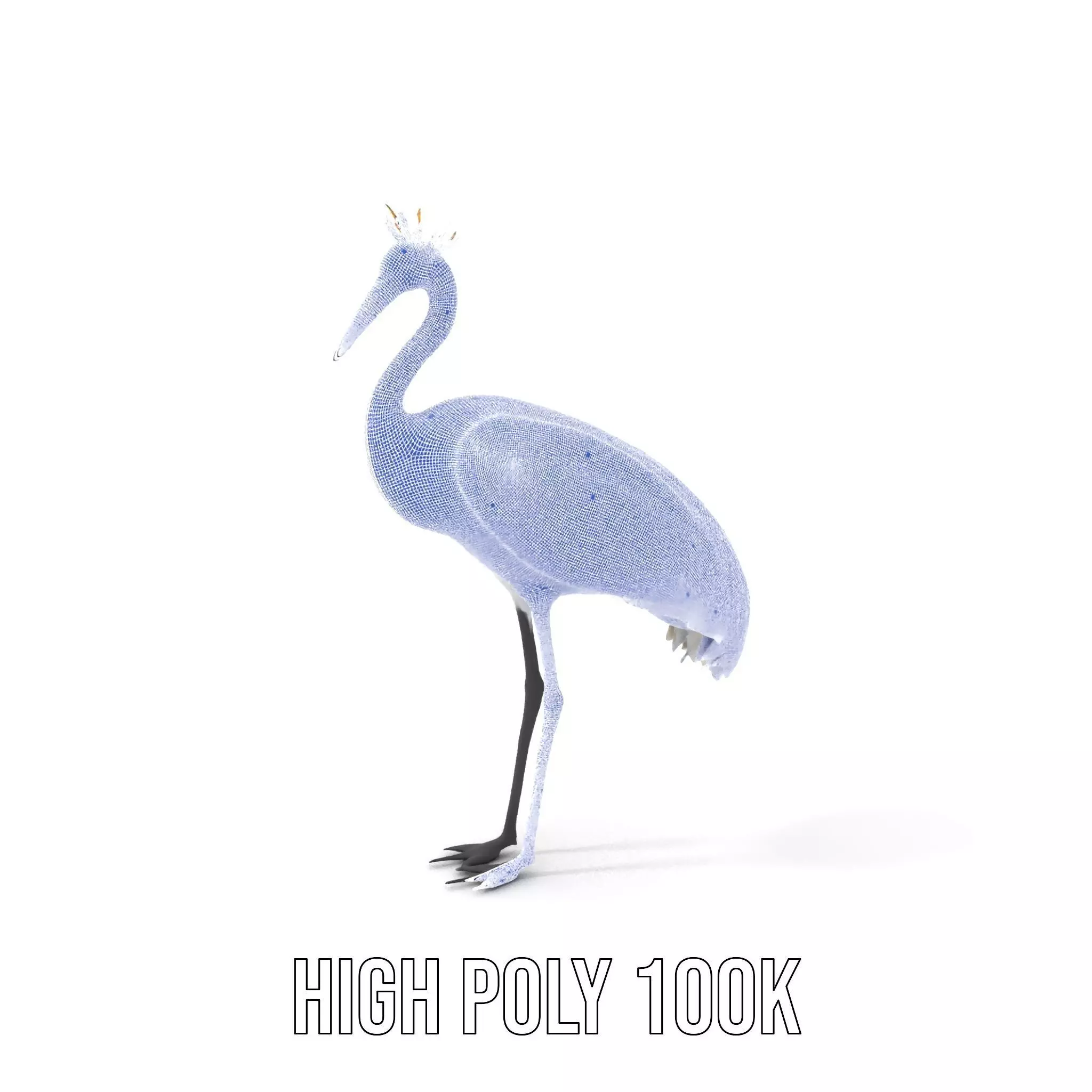 Elegant Crowned Crane model pack Low-poly 3D model_5