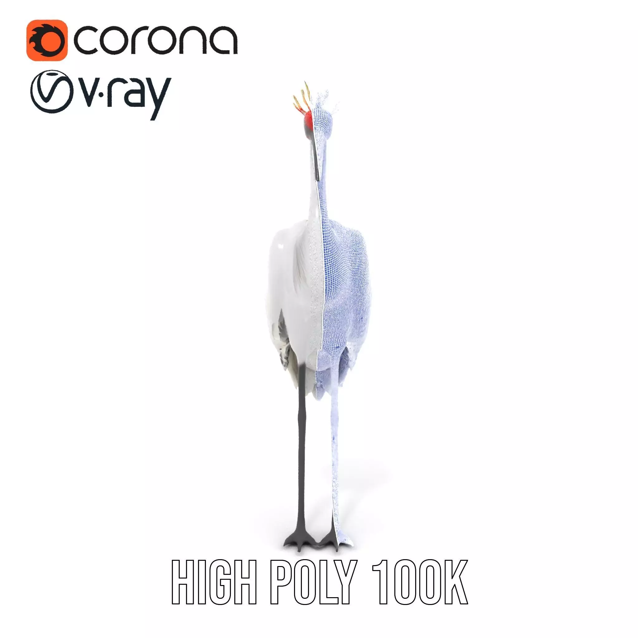 Elegant Crowned Crane model pack Low-poly 3D model_35