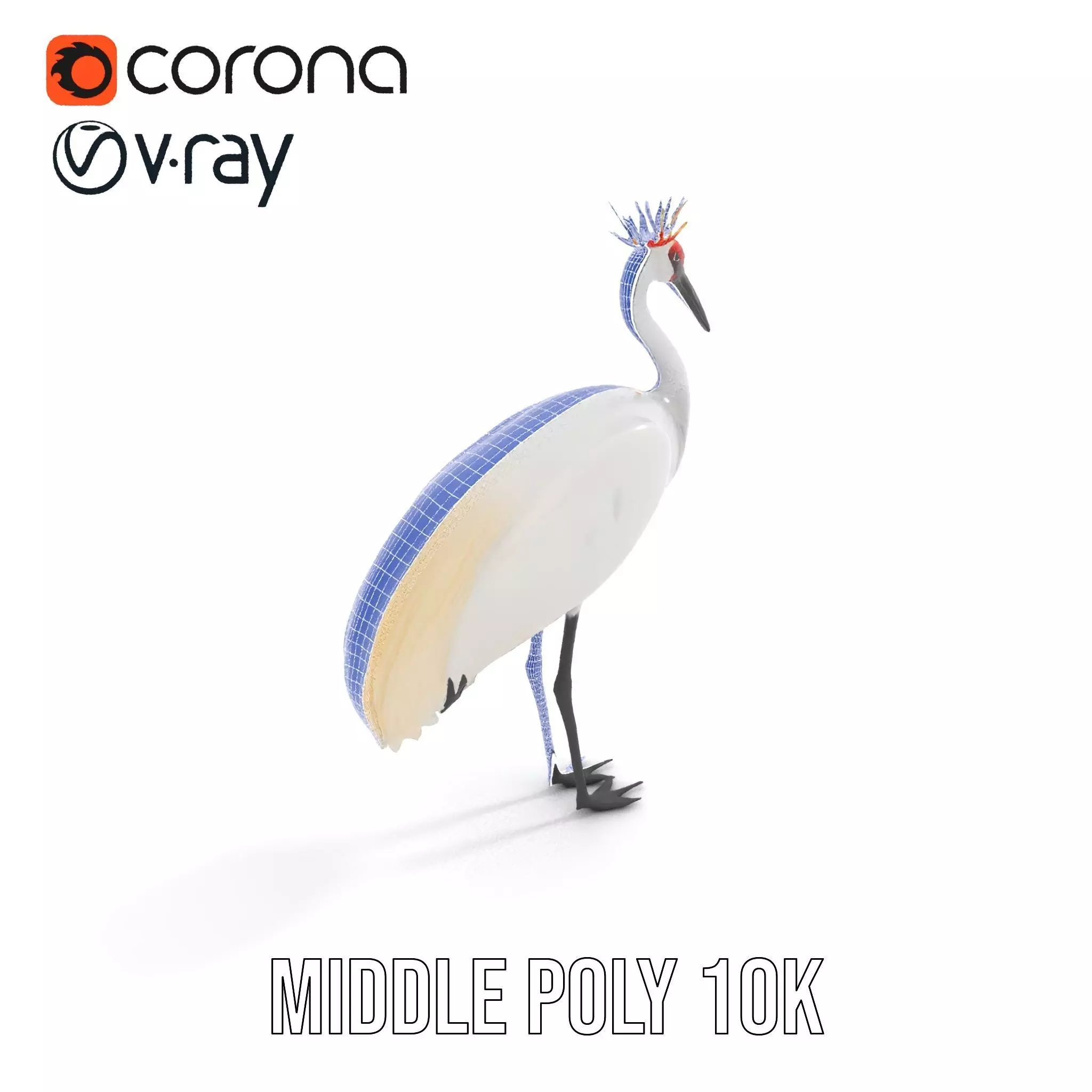 Elegant Crowned Crane model pack Low-poly 3D model_19