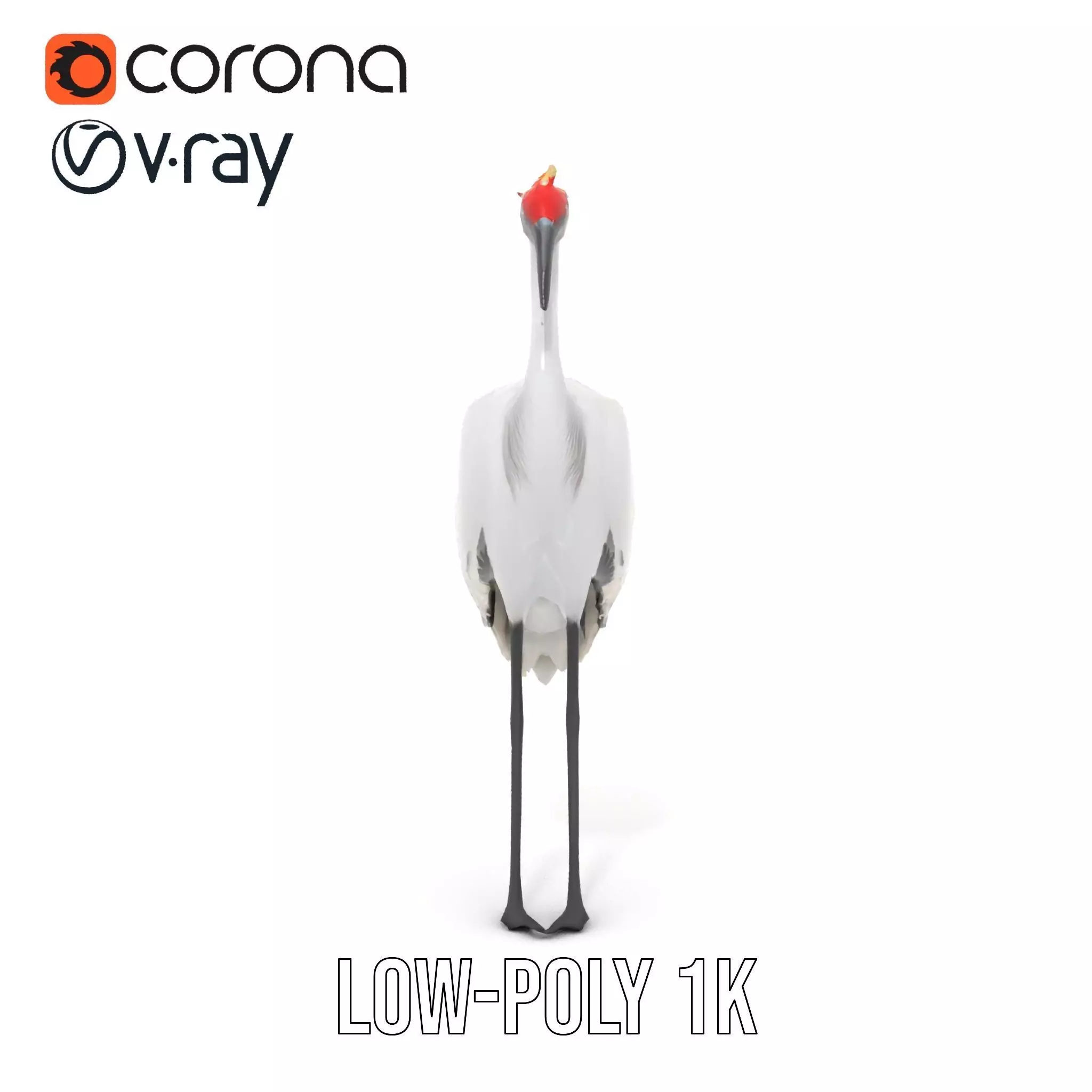 Elegant Crowned Crane model pack Low-poly 3D model_15