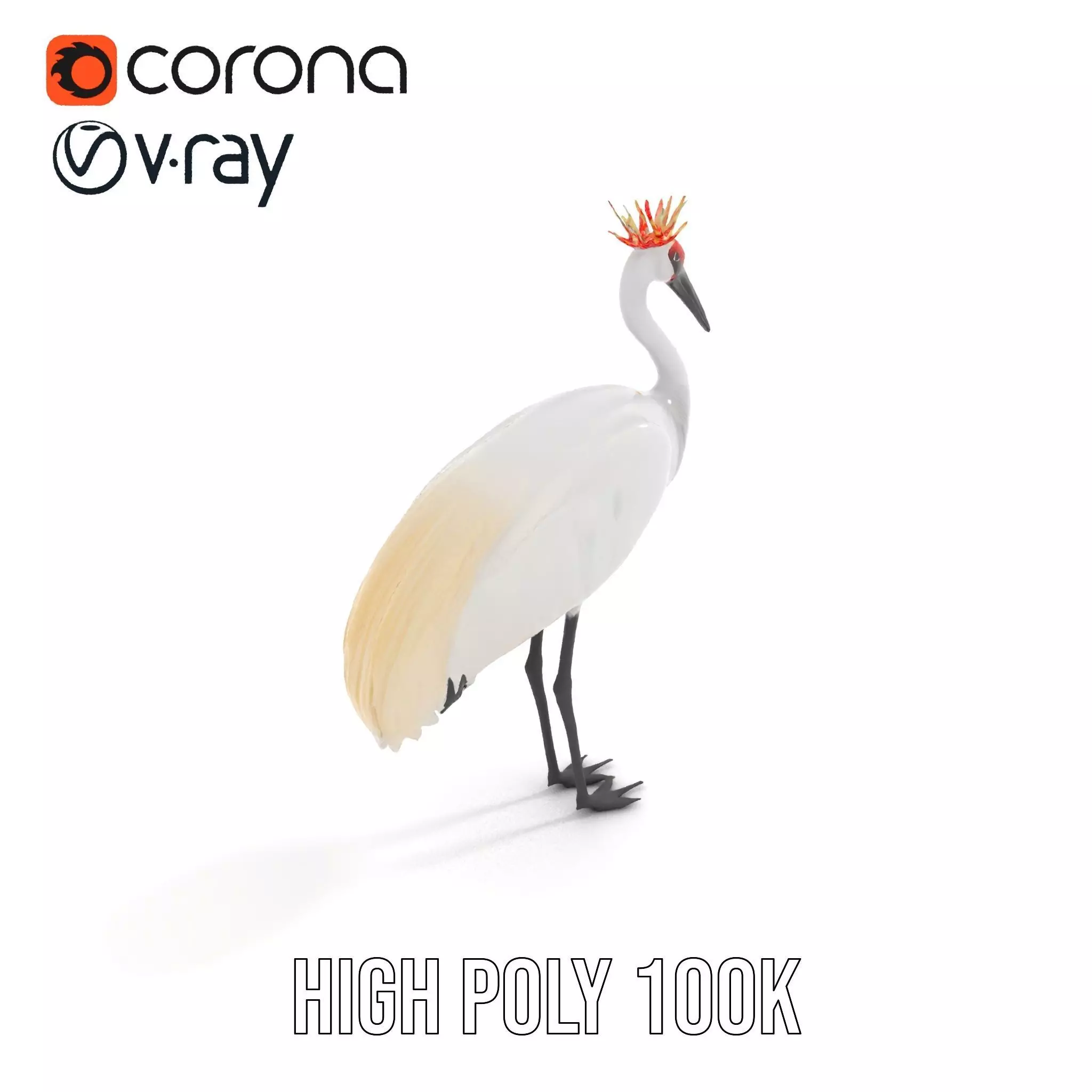 Elegant Crowned Crane model pack Low-poly 3D model_33